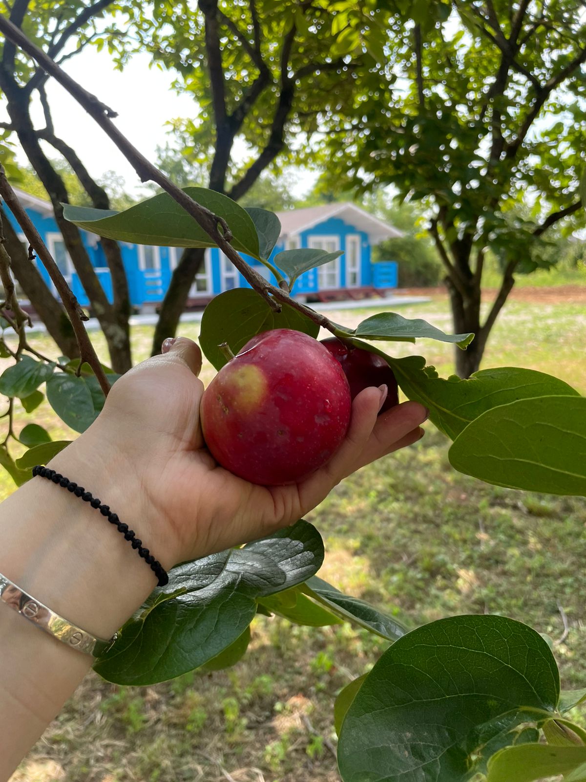 Бунгало Делюкс