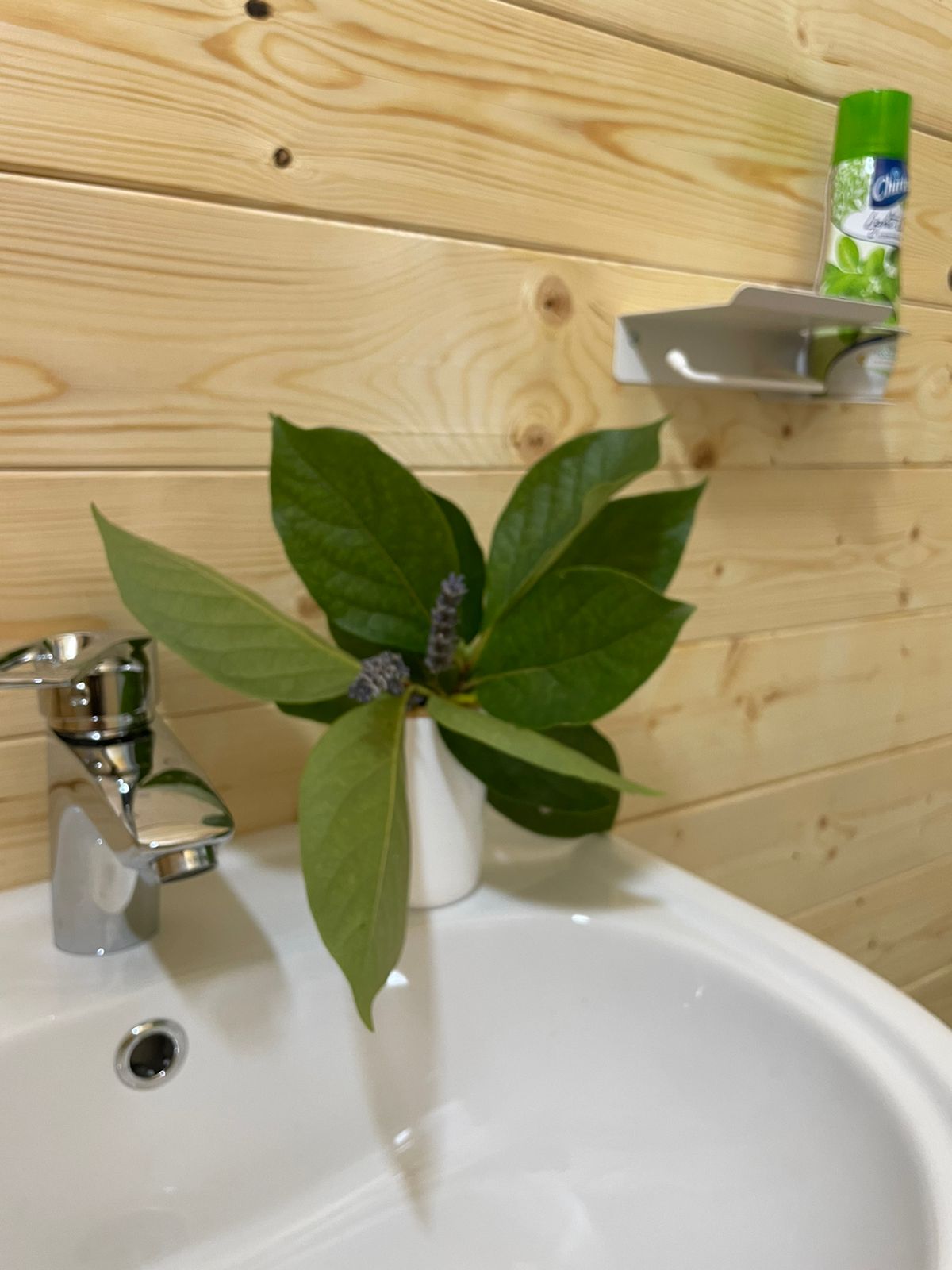 Бунгало Делюкс