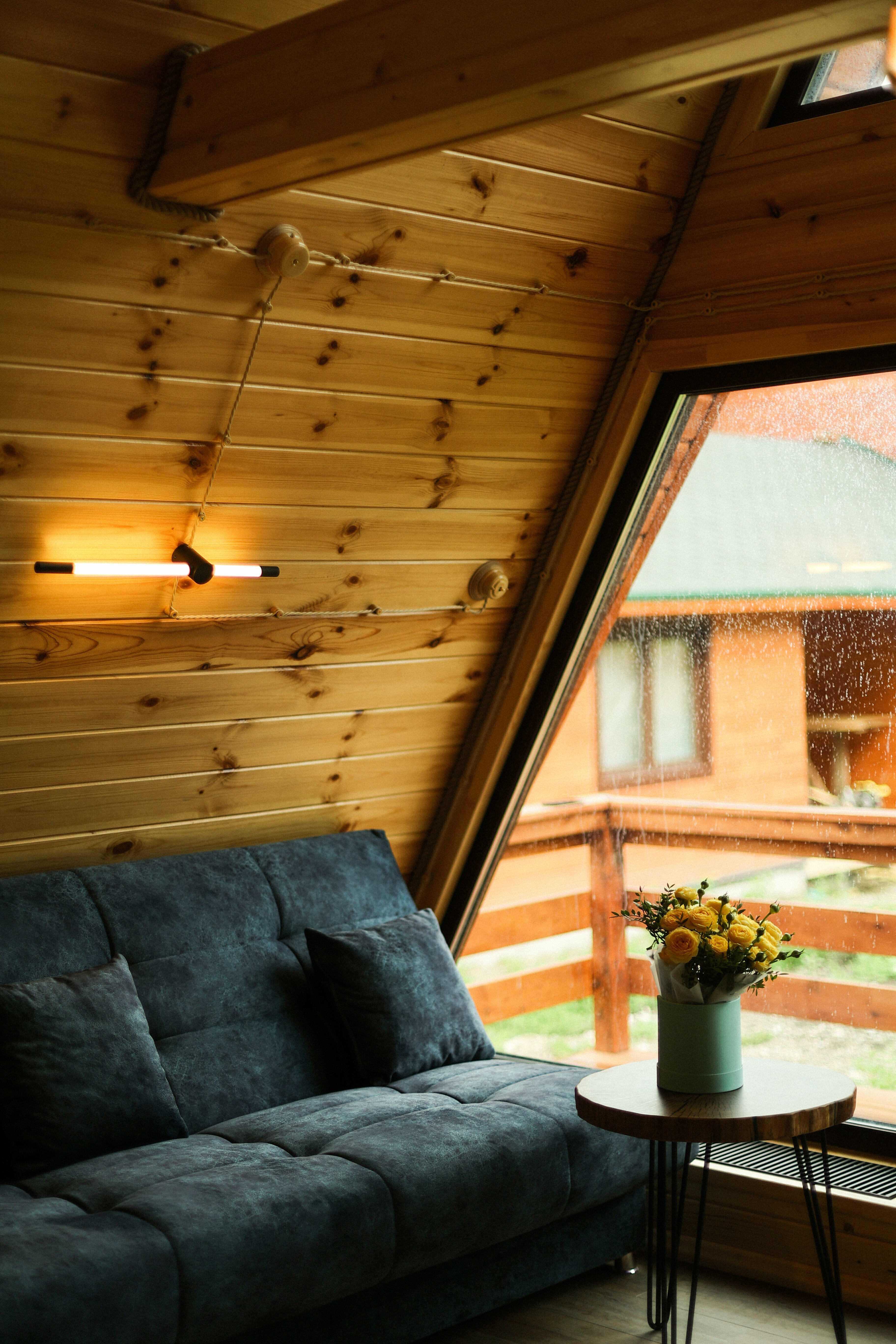 Дом с видом на лес