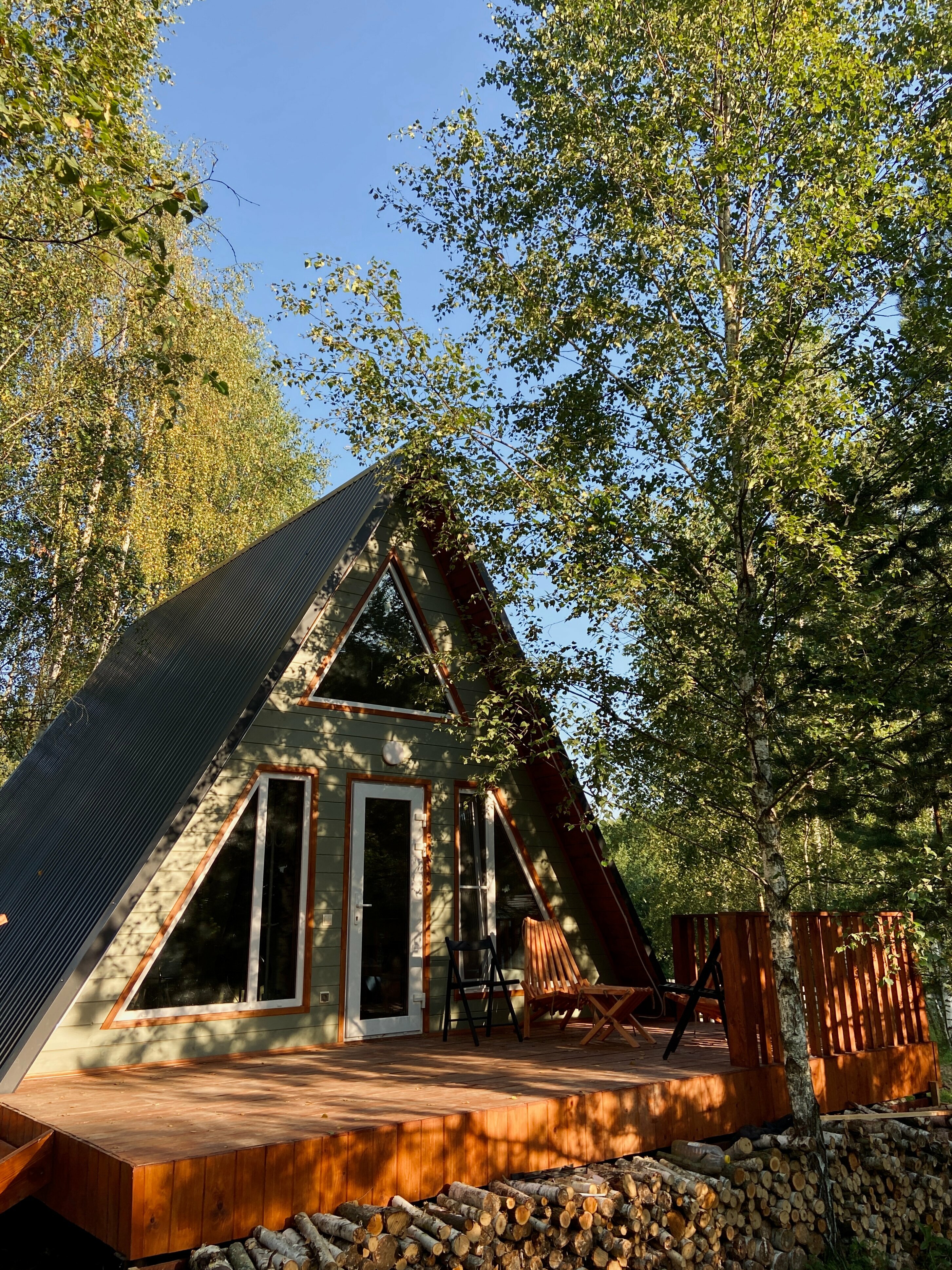 Дом с видом на лес