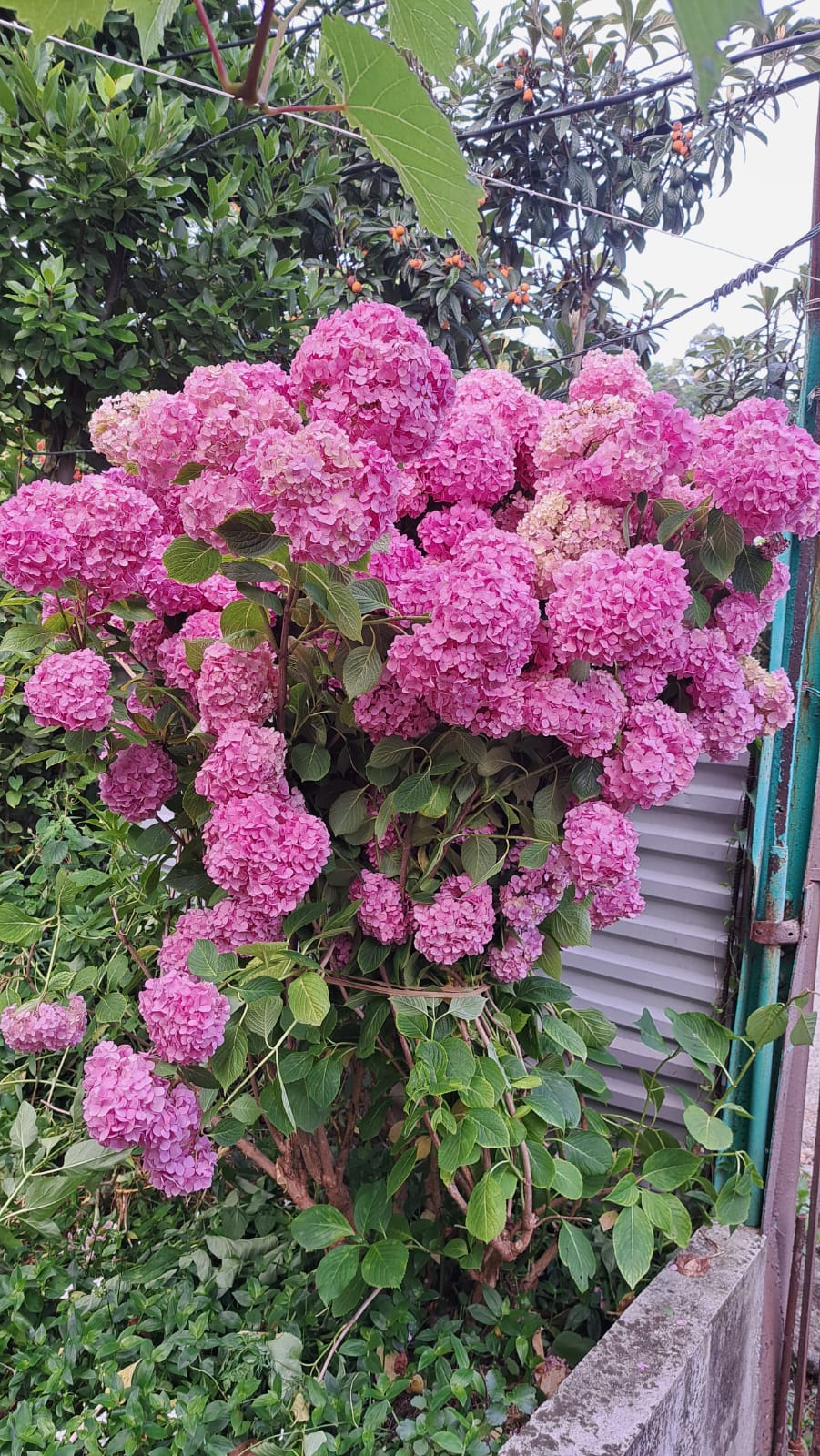 Апартаменты с 2 спальнями