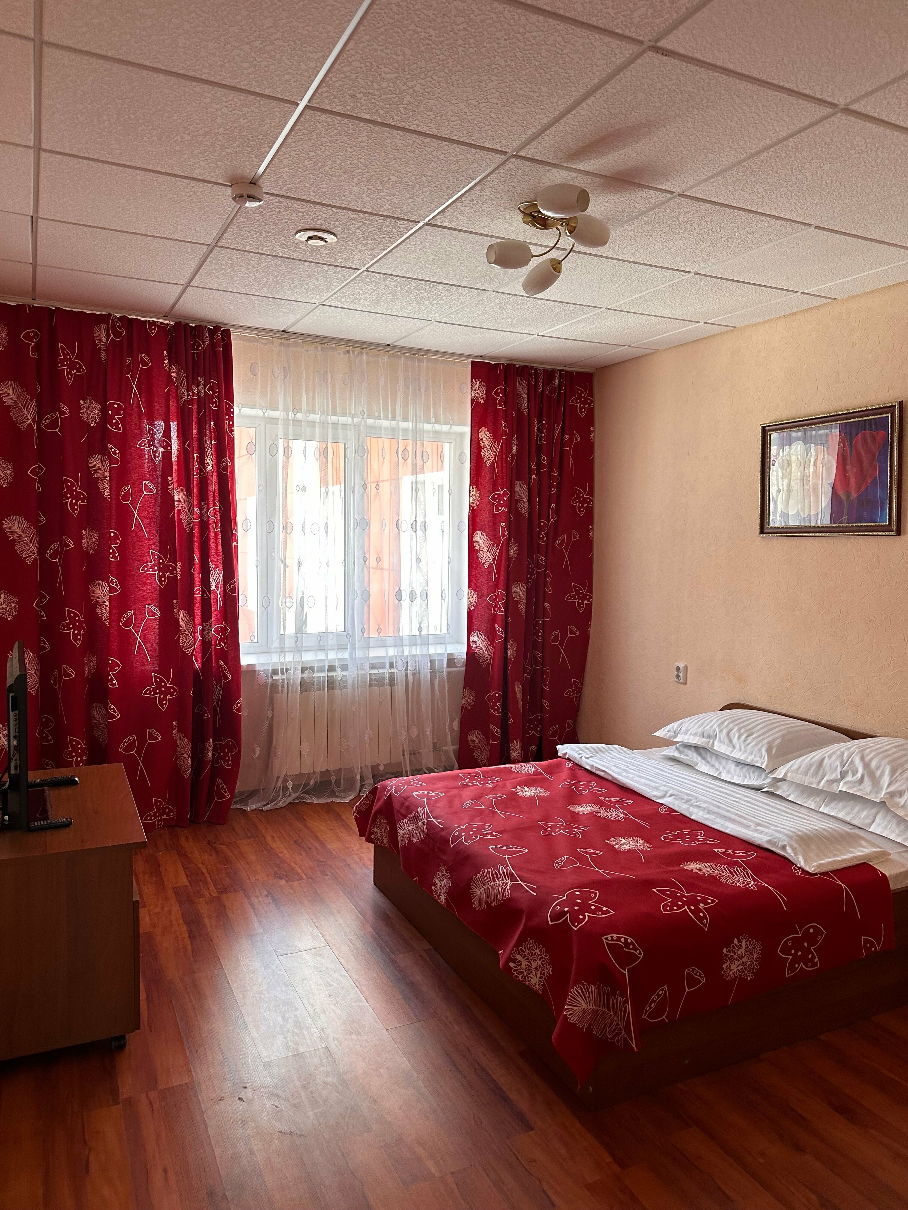 Двухместный номер с 1 кроватью и видом на парк