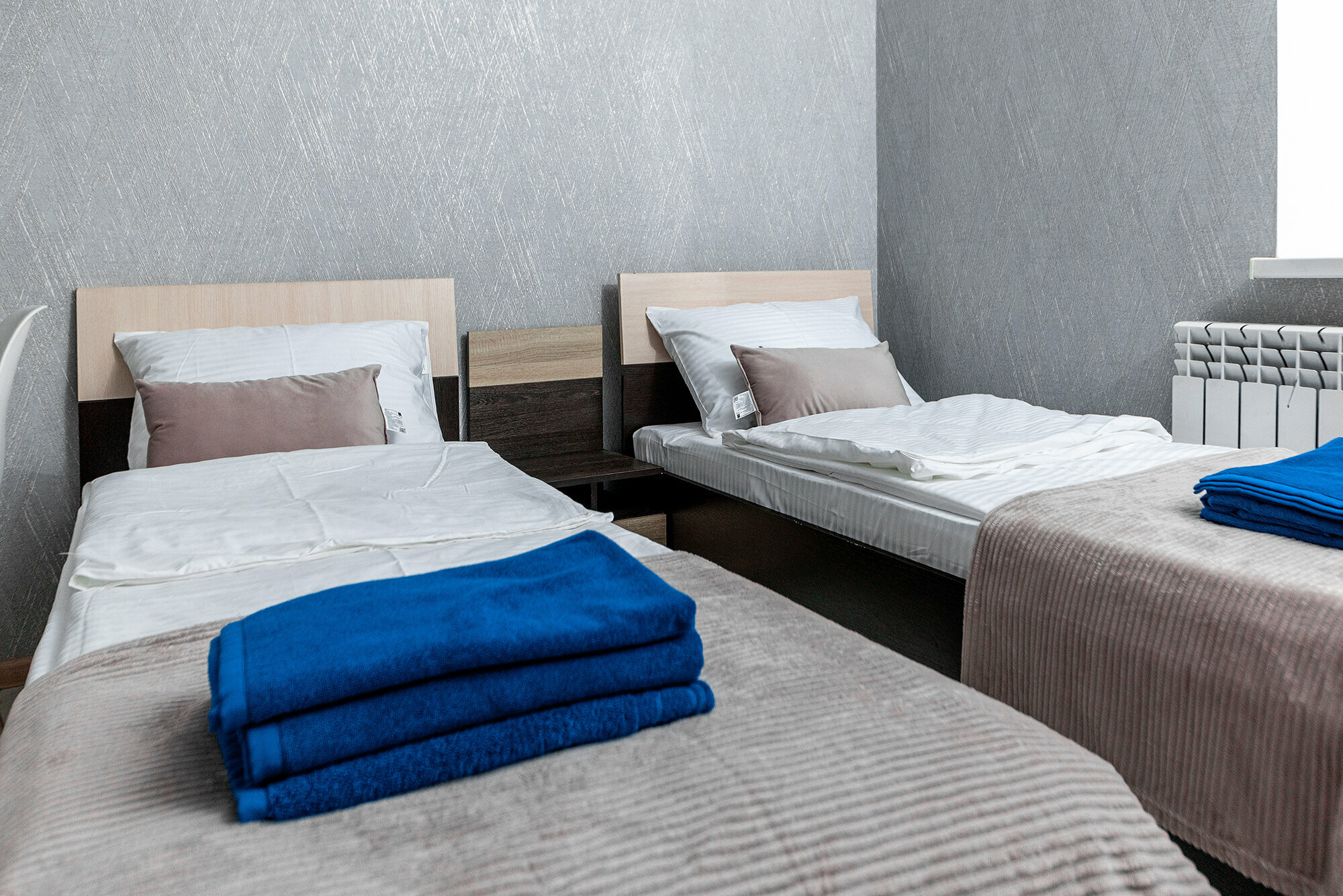 Двухместный Стандартный номер с двумя раздельными кроватями и санузлом