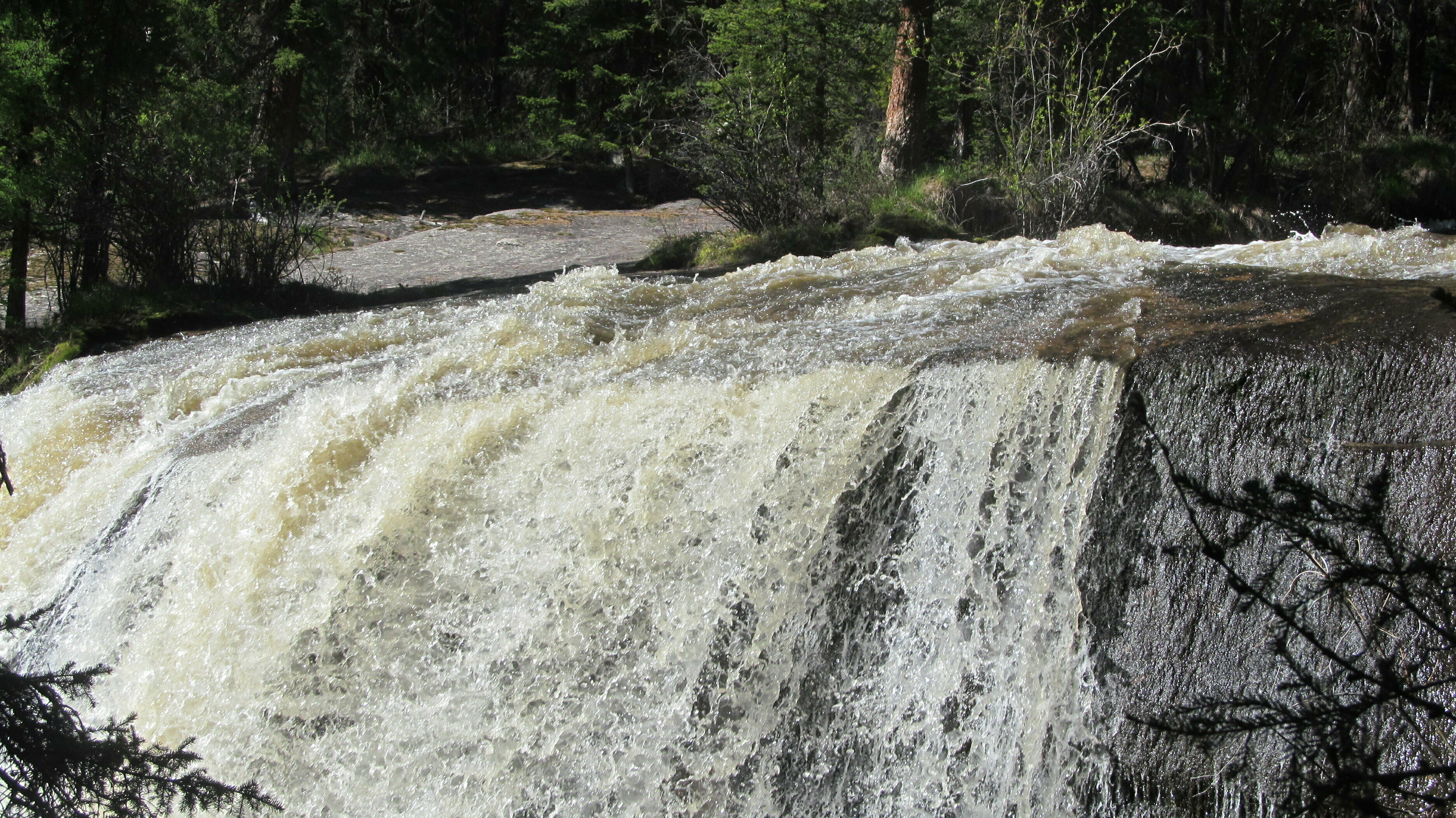 Дом с видом на лес