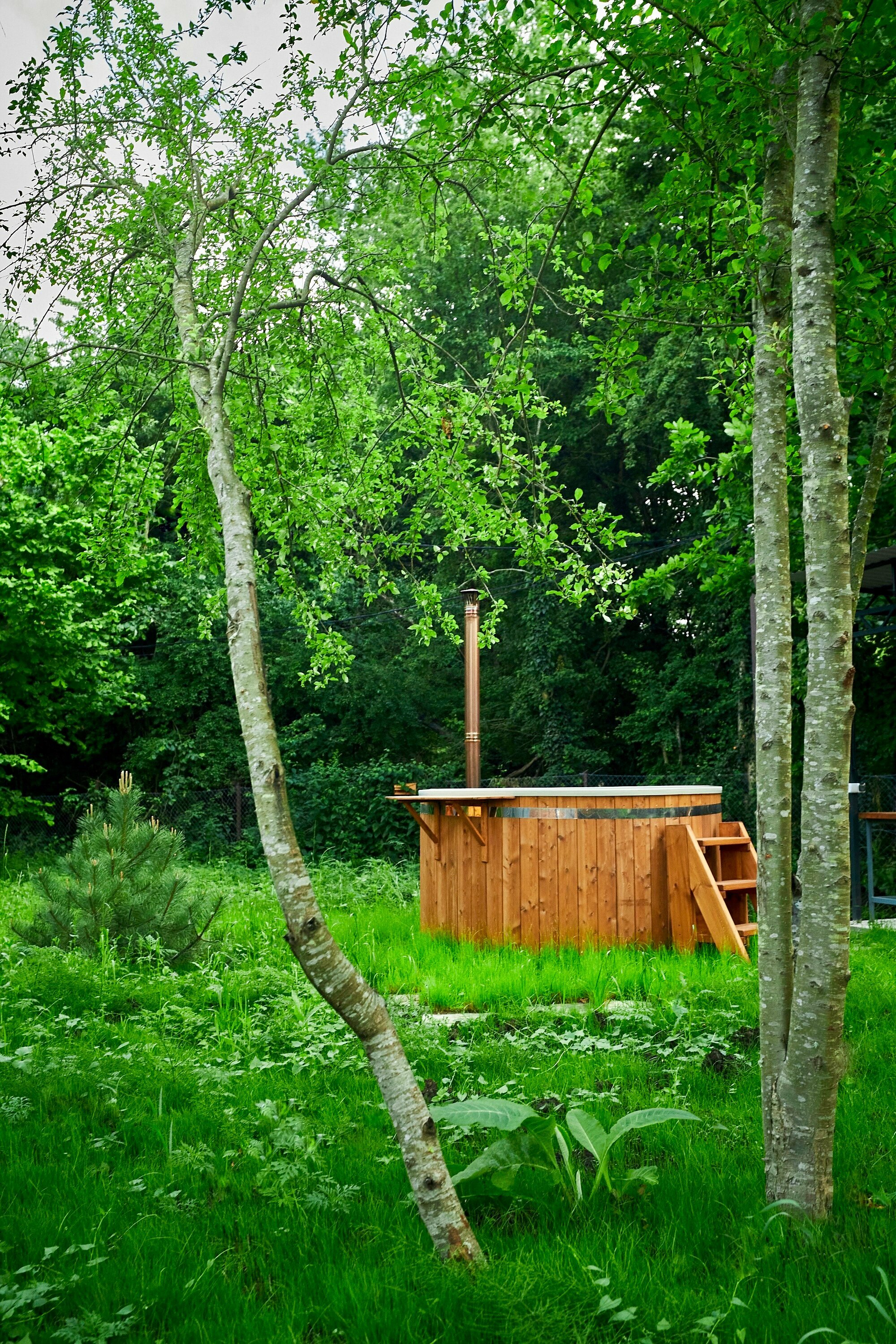 Дом с видом на лес