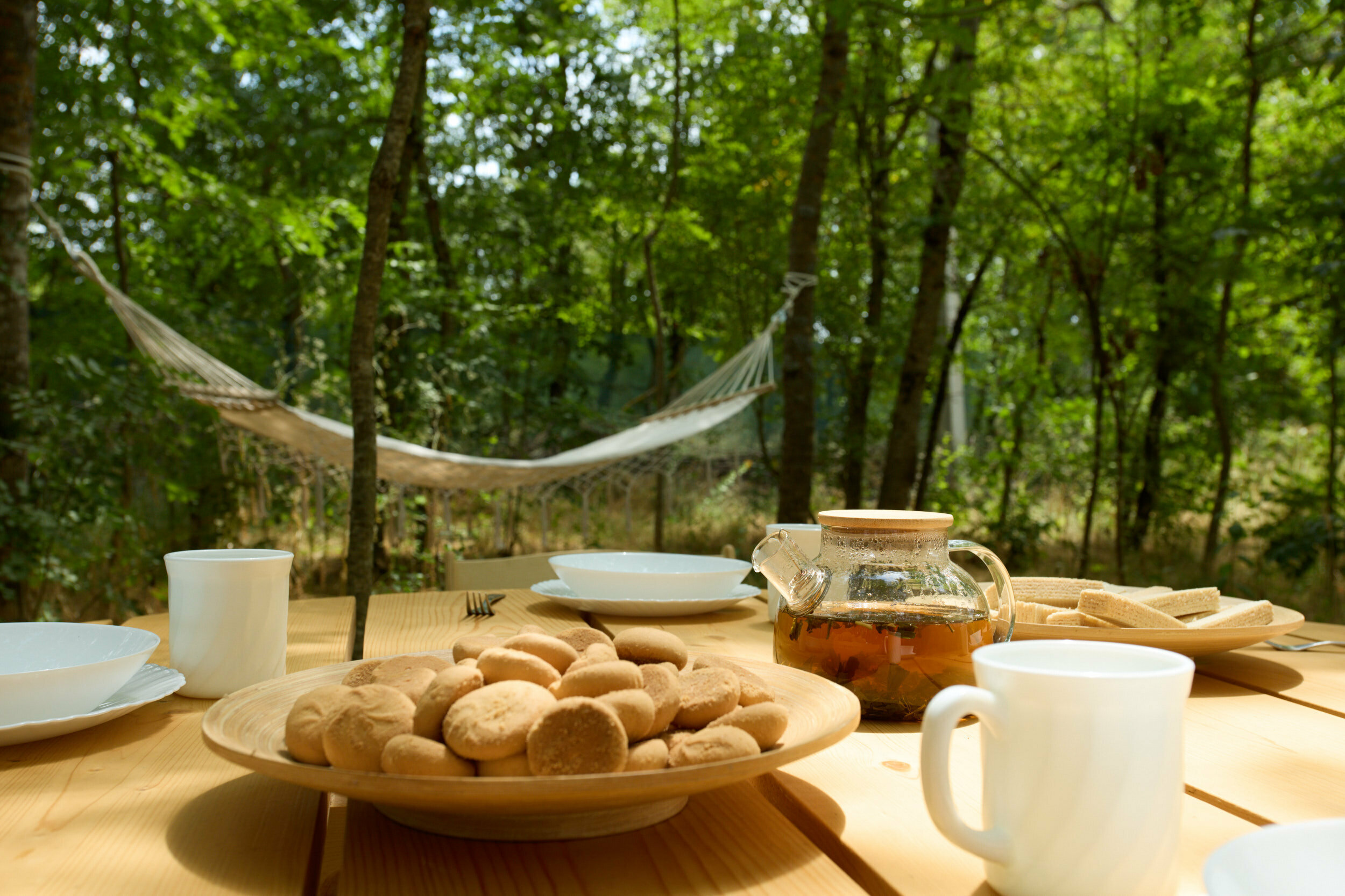 Шатер "Форест"