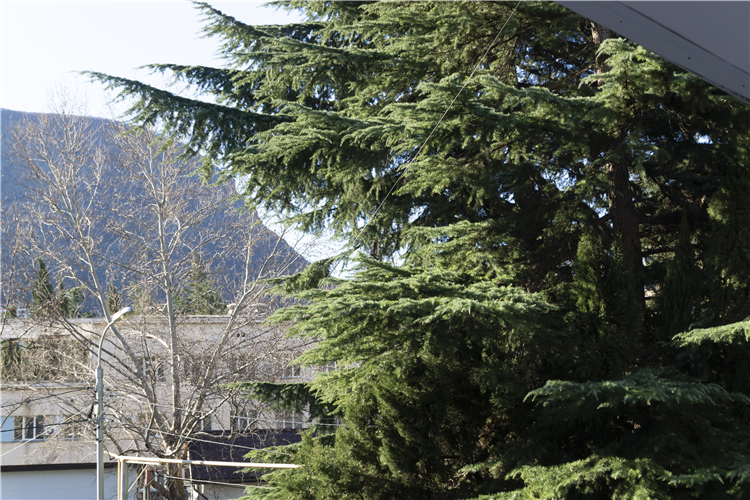 Двухместный номер с 1 кроватью или 2 отдельными кроватями