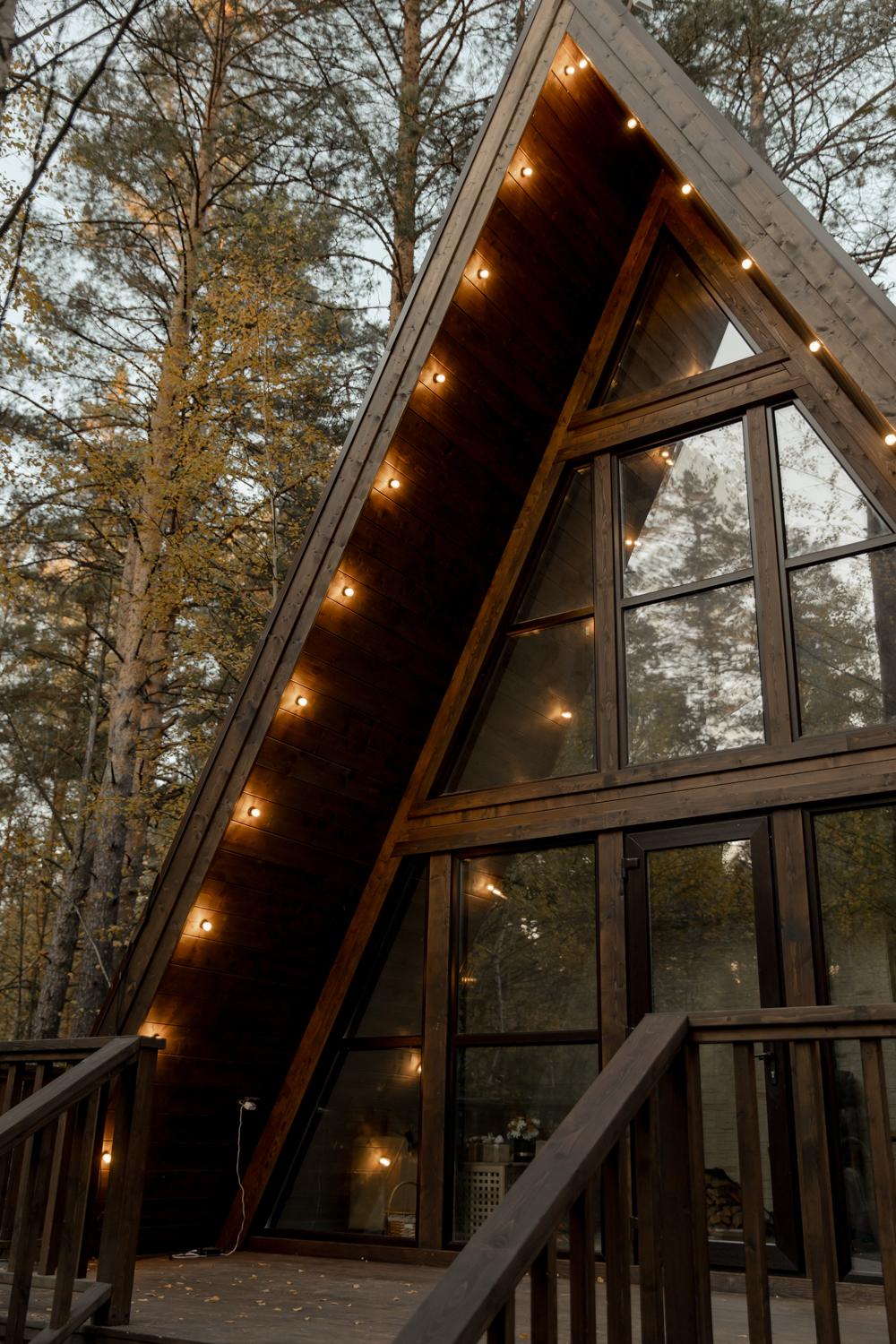 Дом с видом на лес