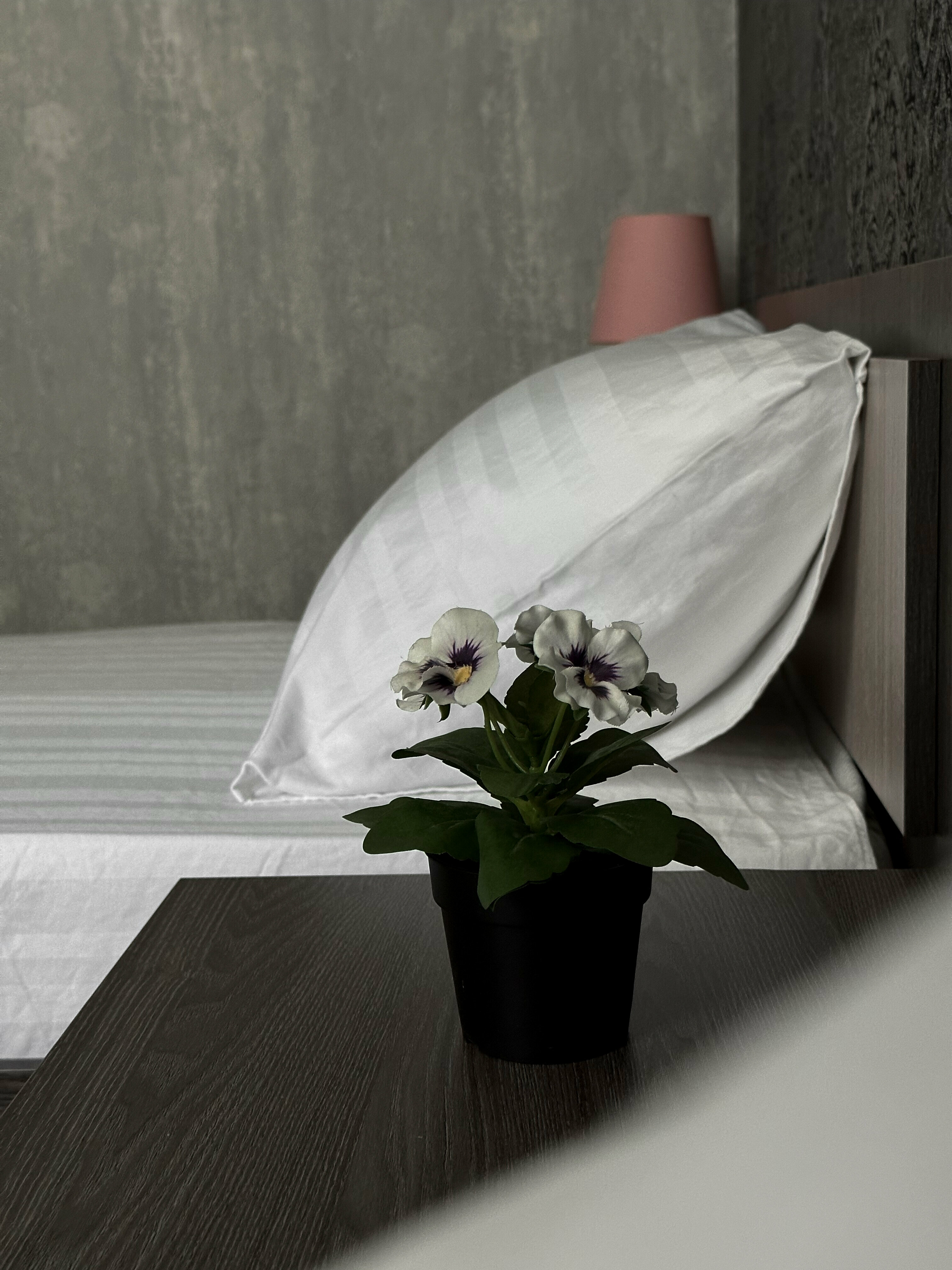 Двухместный номер с 2 отдельными кроватями