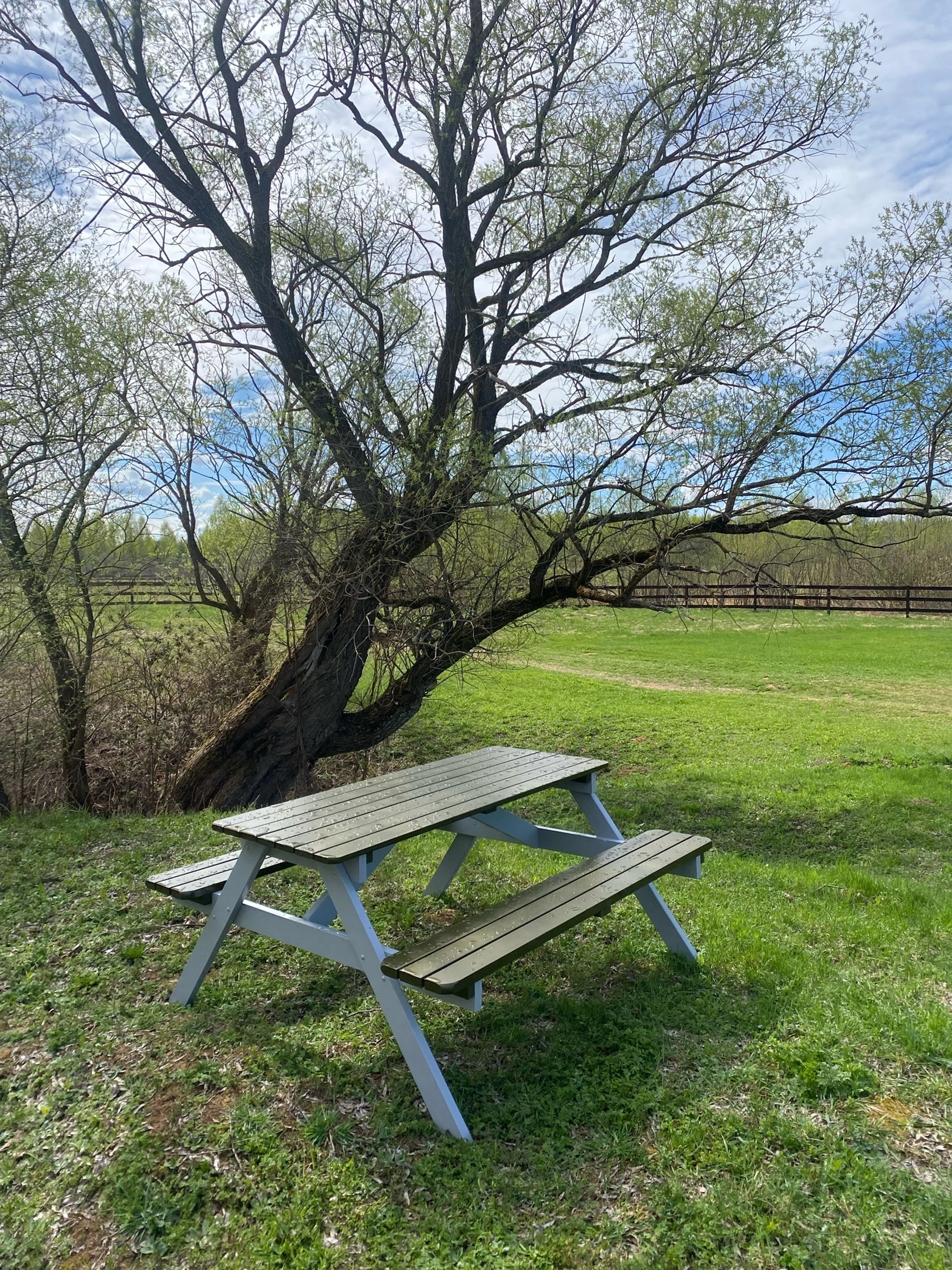 Дом на четверых "У Ивы" (с собственным спуском в реку)