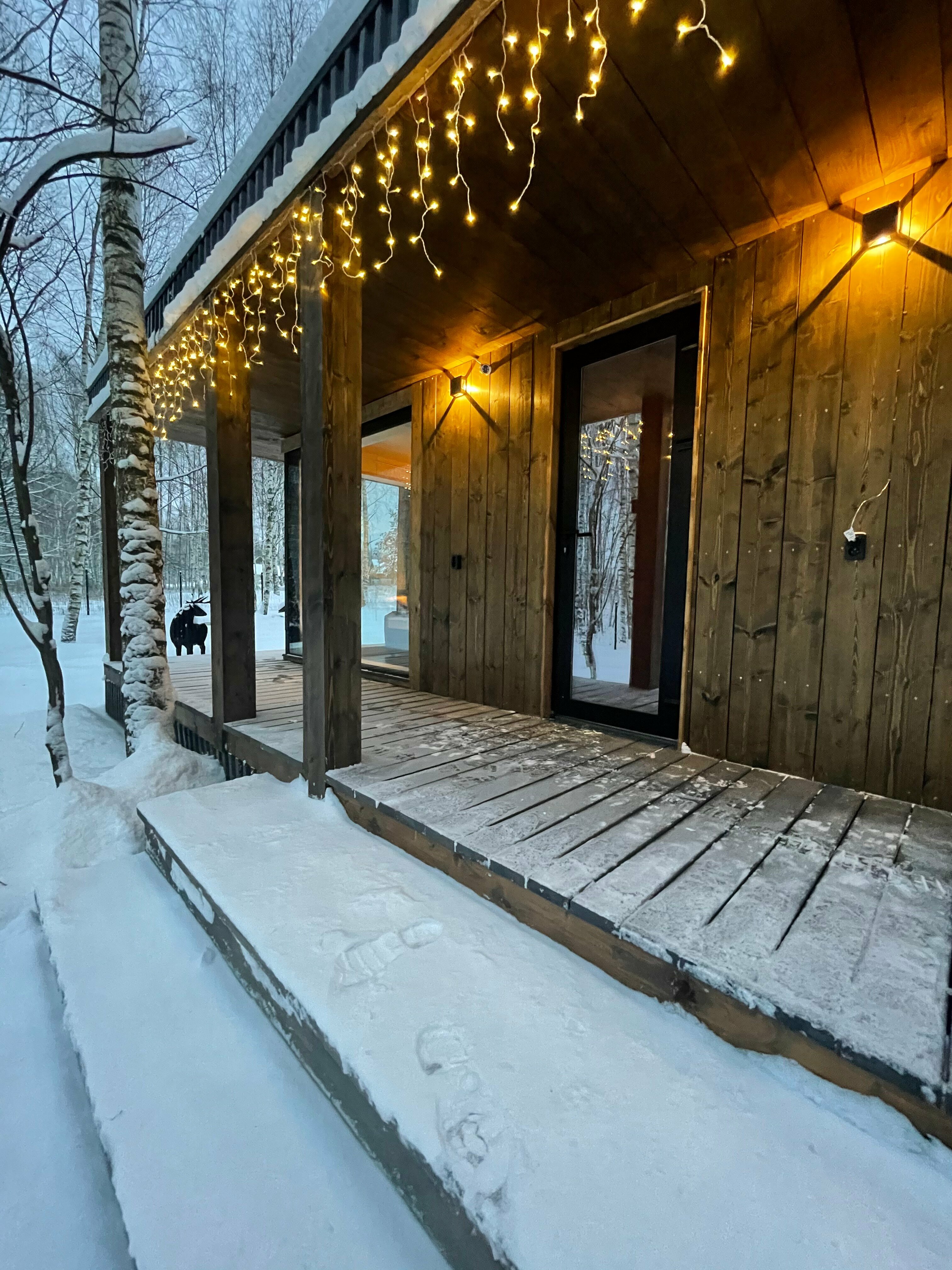 Дом с видом на лес