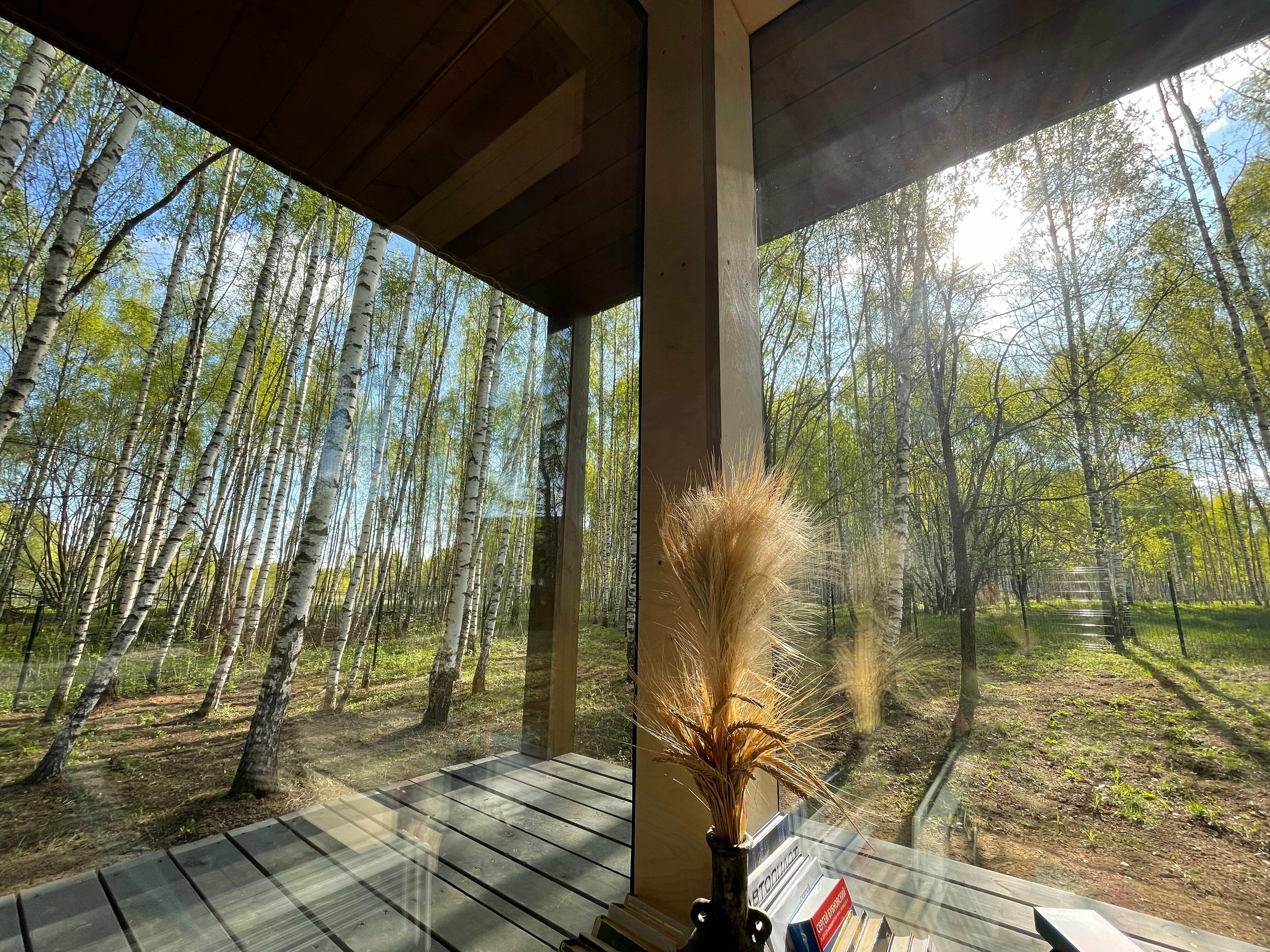 Дом с видом на лес