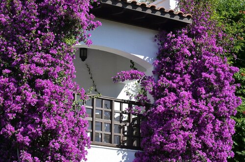 Одноместный номер Standard в Emelda Sun Club