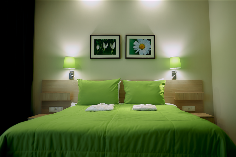 Двухместный номер с 1 кроватью и балконом