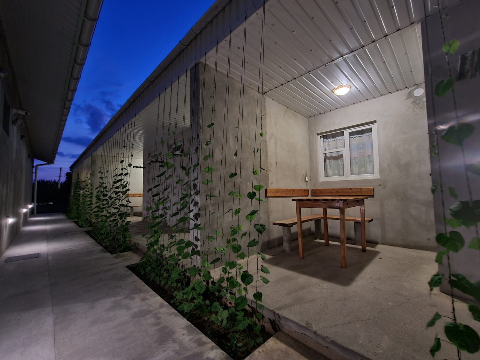 Стандартный двухместный номер с 2 отдельными кроватями, вид на сад