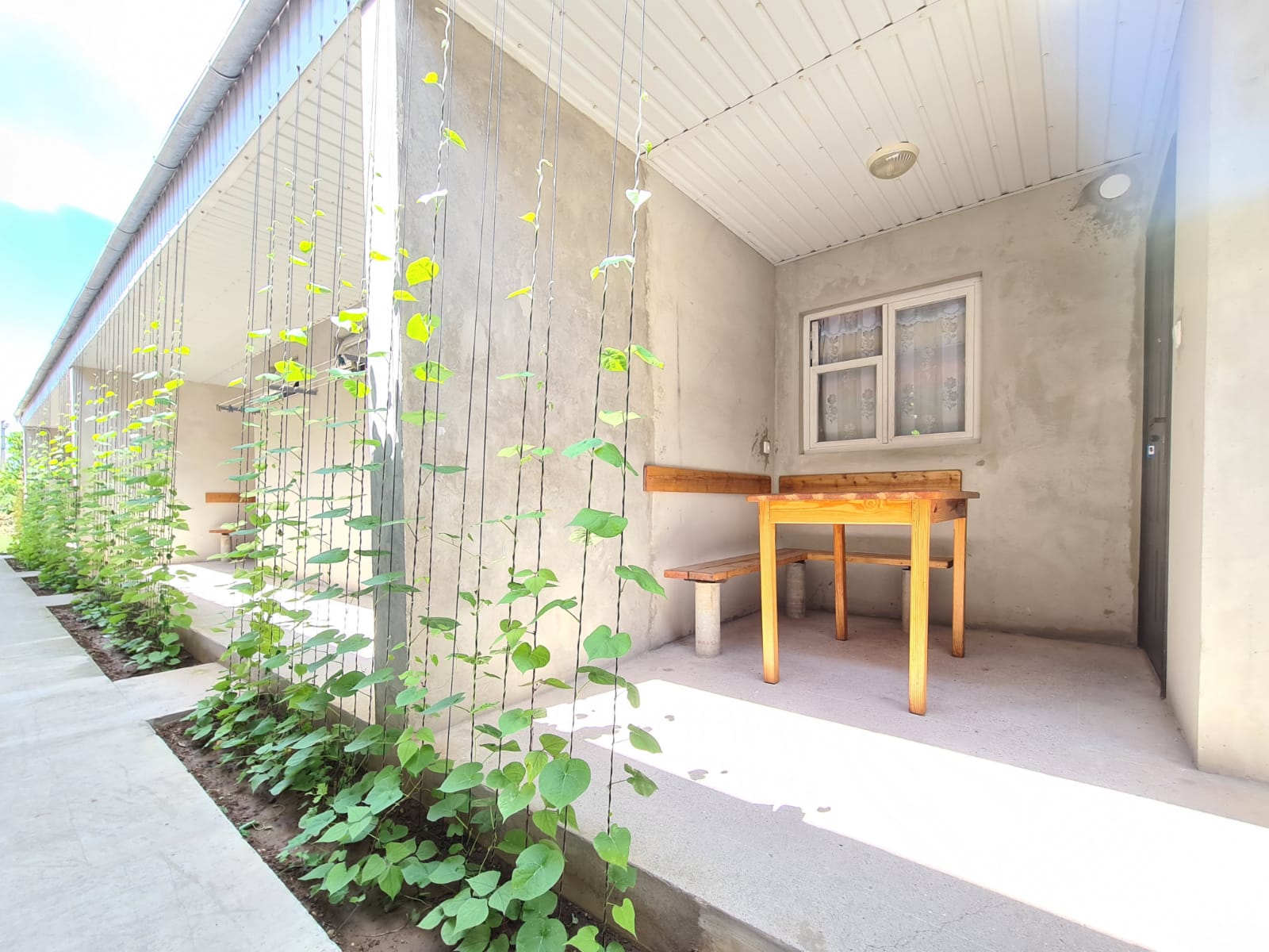 Стандартный двухместный номер с 2 отдельными кроватями, вид на сад