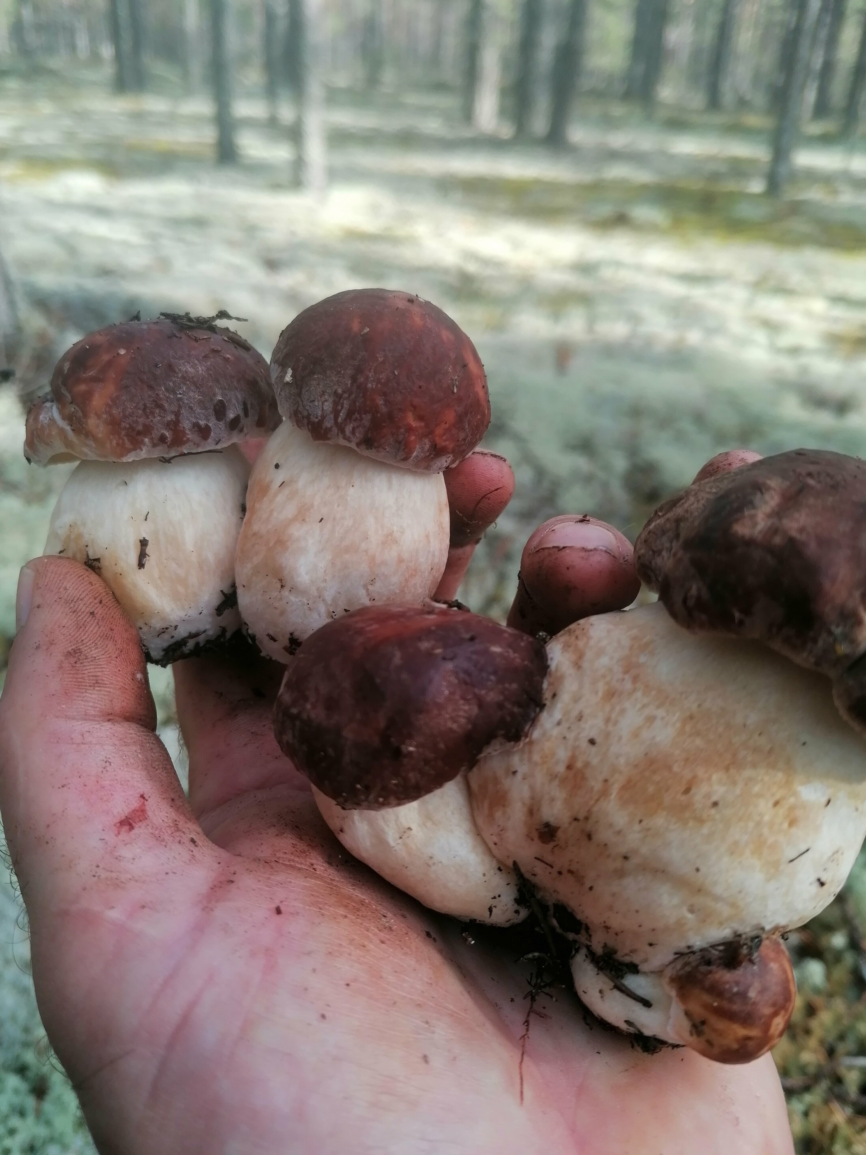 Дом с видом на озеро