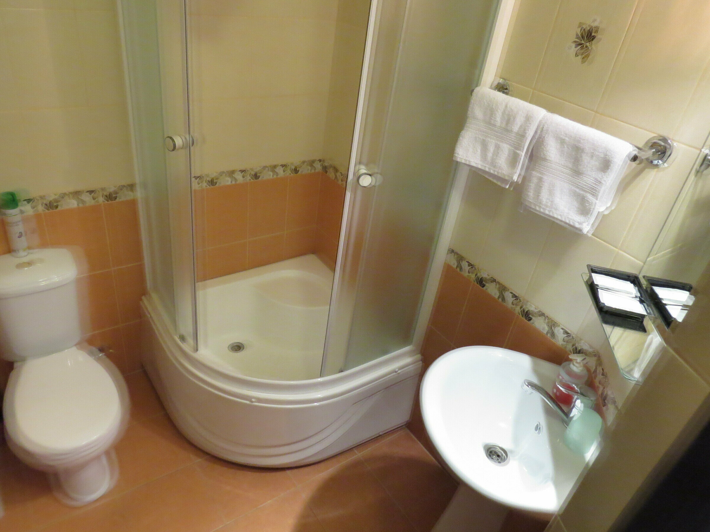 Двухместный номер с 1 кроватью