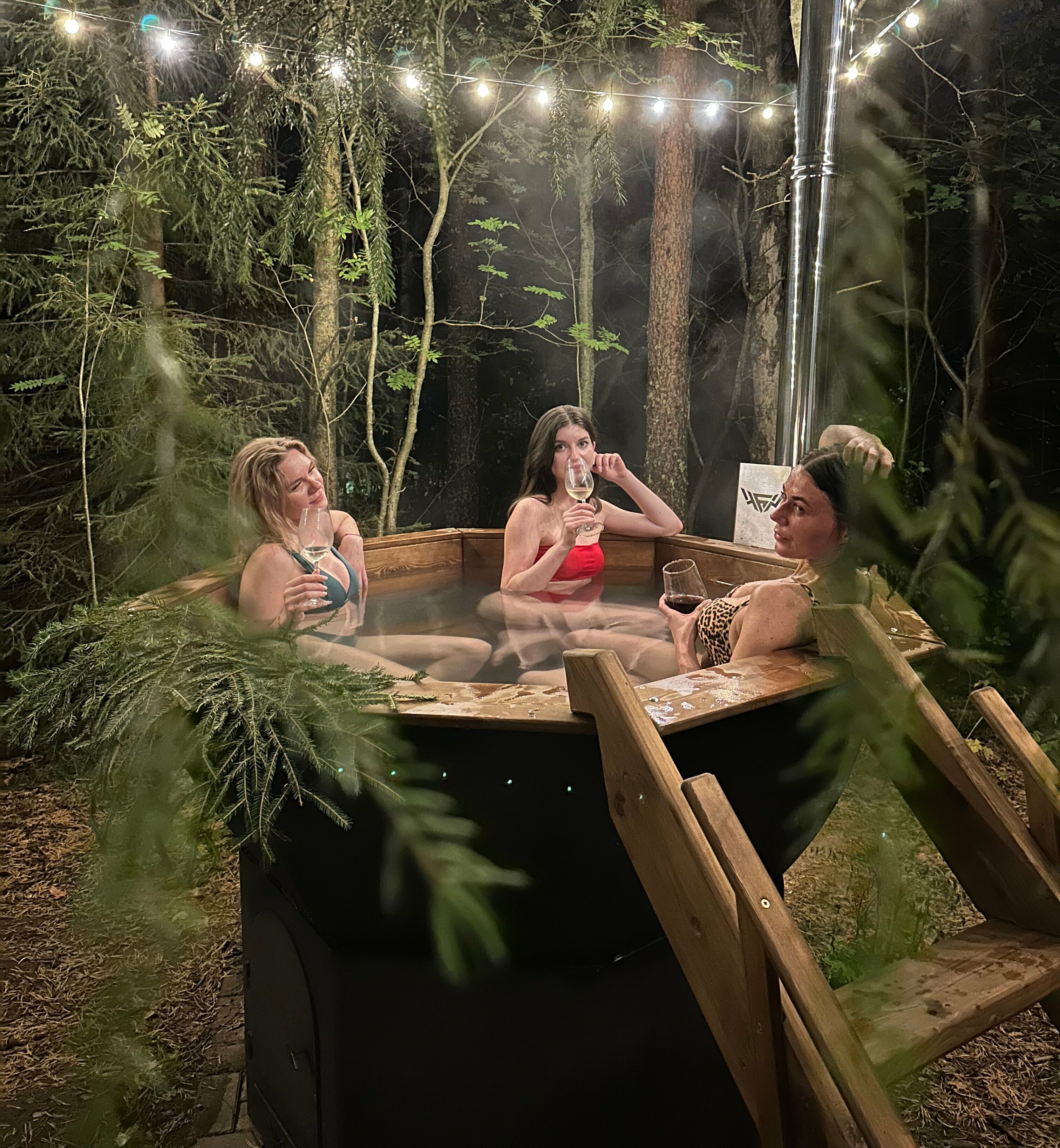 Домик Весна