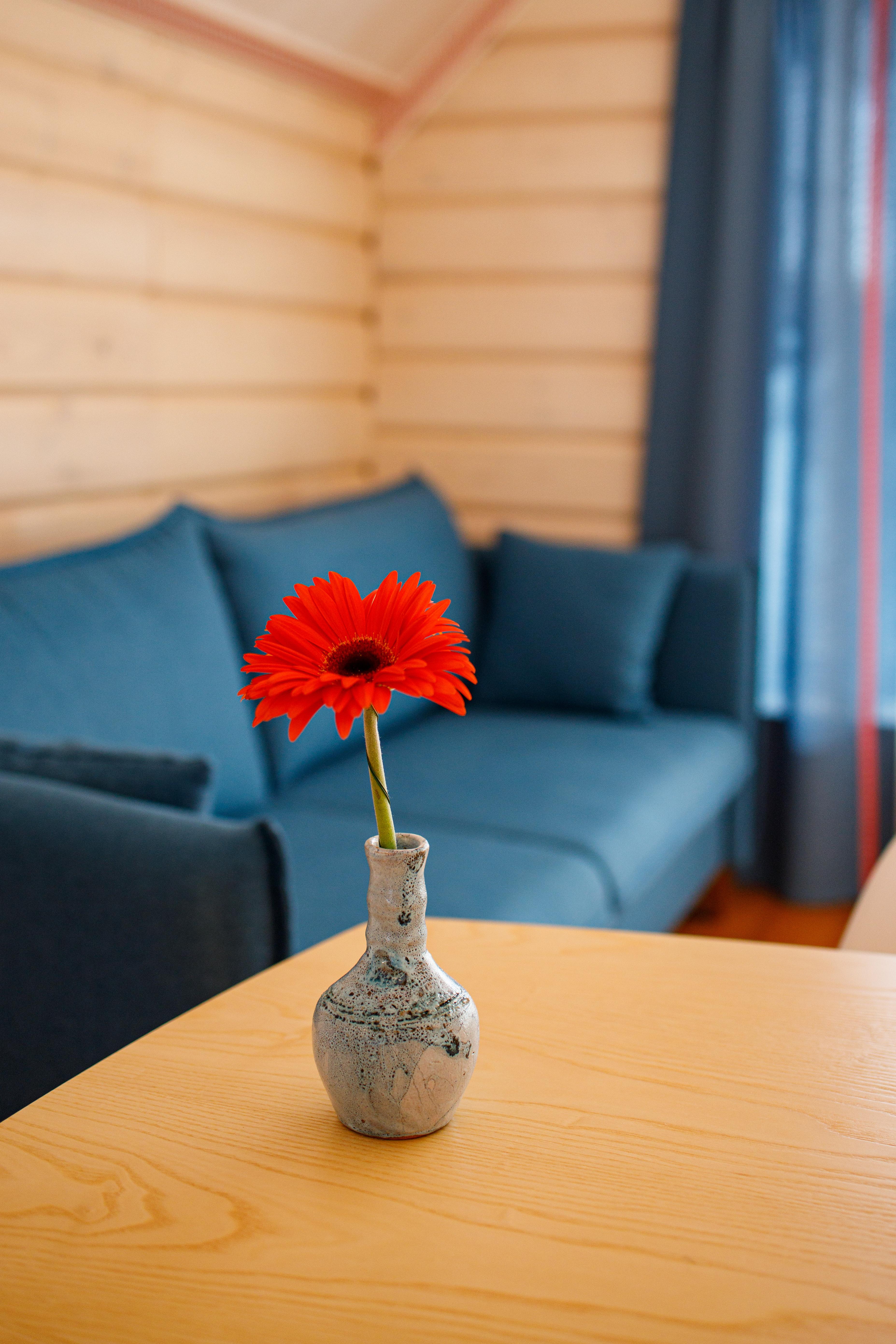 Коттедж с видом на лес