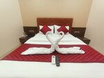 Представительский двухместный номер с 1 двуспальной кроватью в Hotel Empire - Near International Airport
