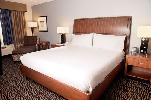 Номер в Hilton Garden Inn Austin Nw/Arboretum