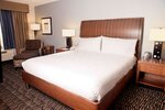 Номер, 1 двуспальная кровать «Кинг-сайз» в Hilton Garden Inn Austin Nw/Arboretum