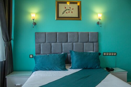Двухместный номер с 1 двуспальной кроватью, вид на море в Hotel Tulip House