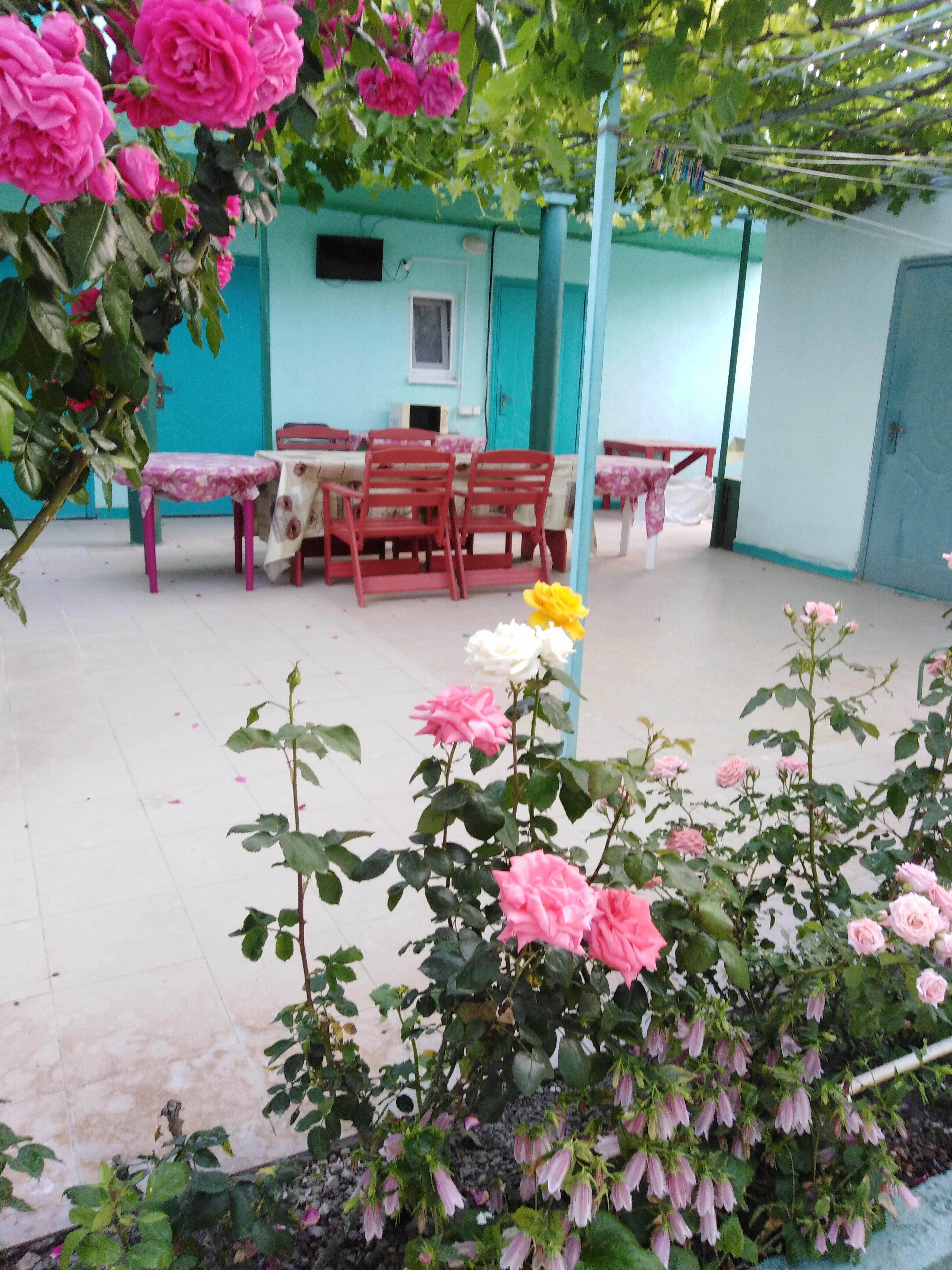 Трехместный номер с видом на горы