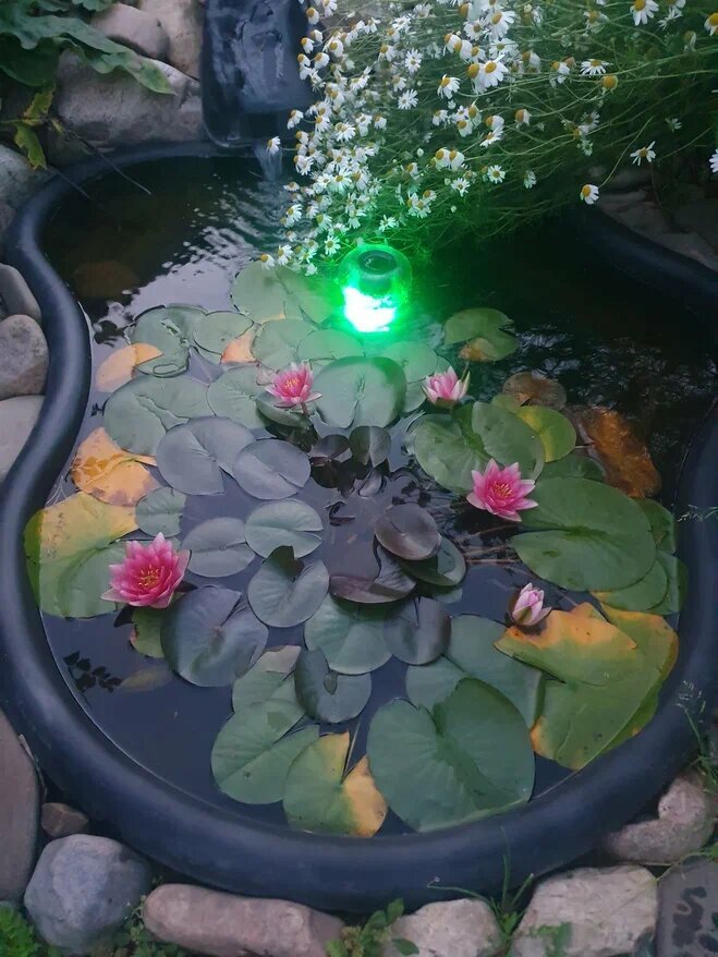 Дом