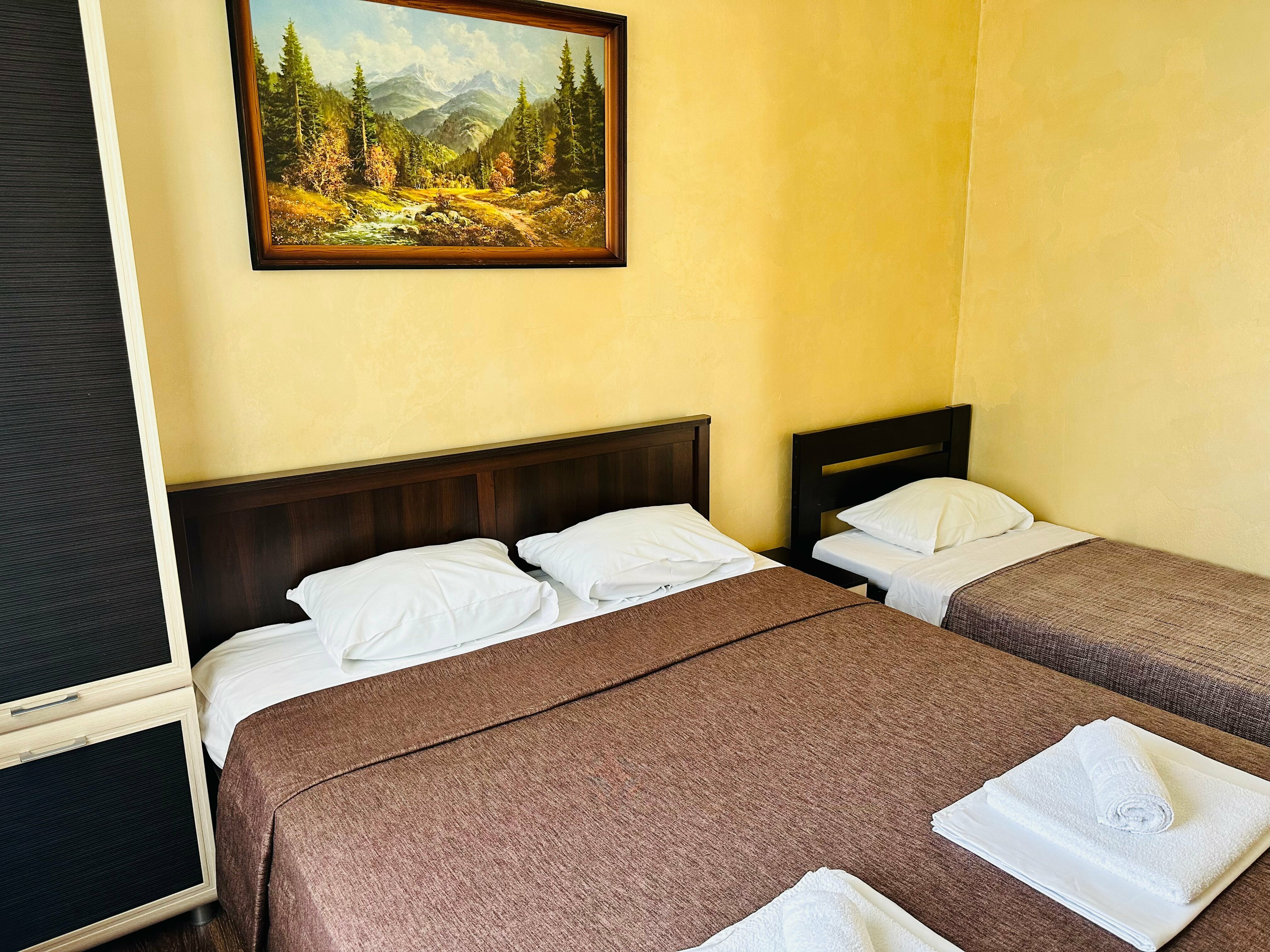 Трехместный номер с основными удобствами