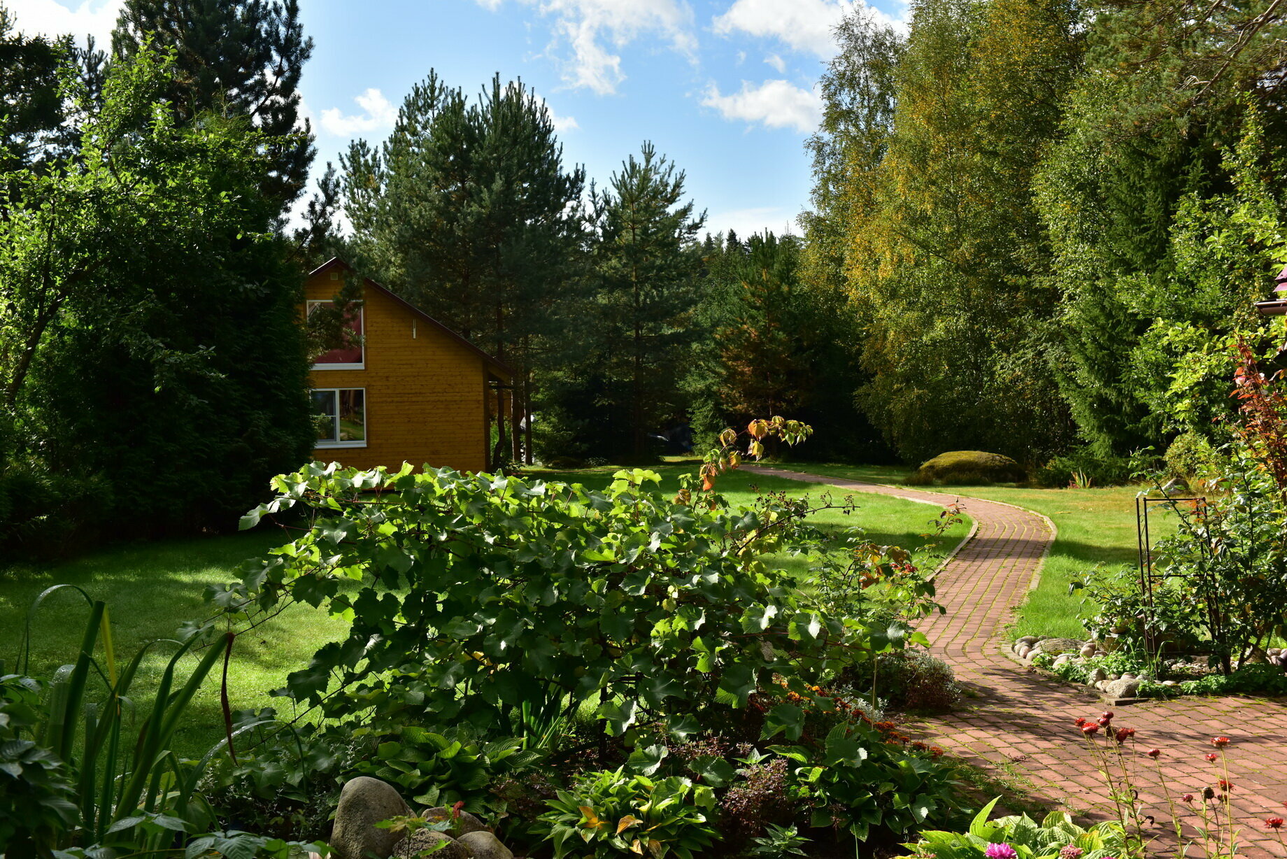 Номер с 2 кроватями размера «king-size»