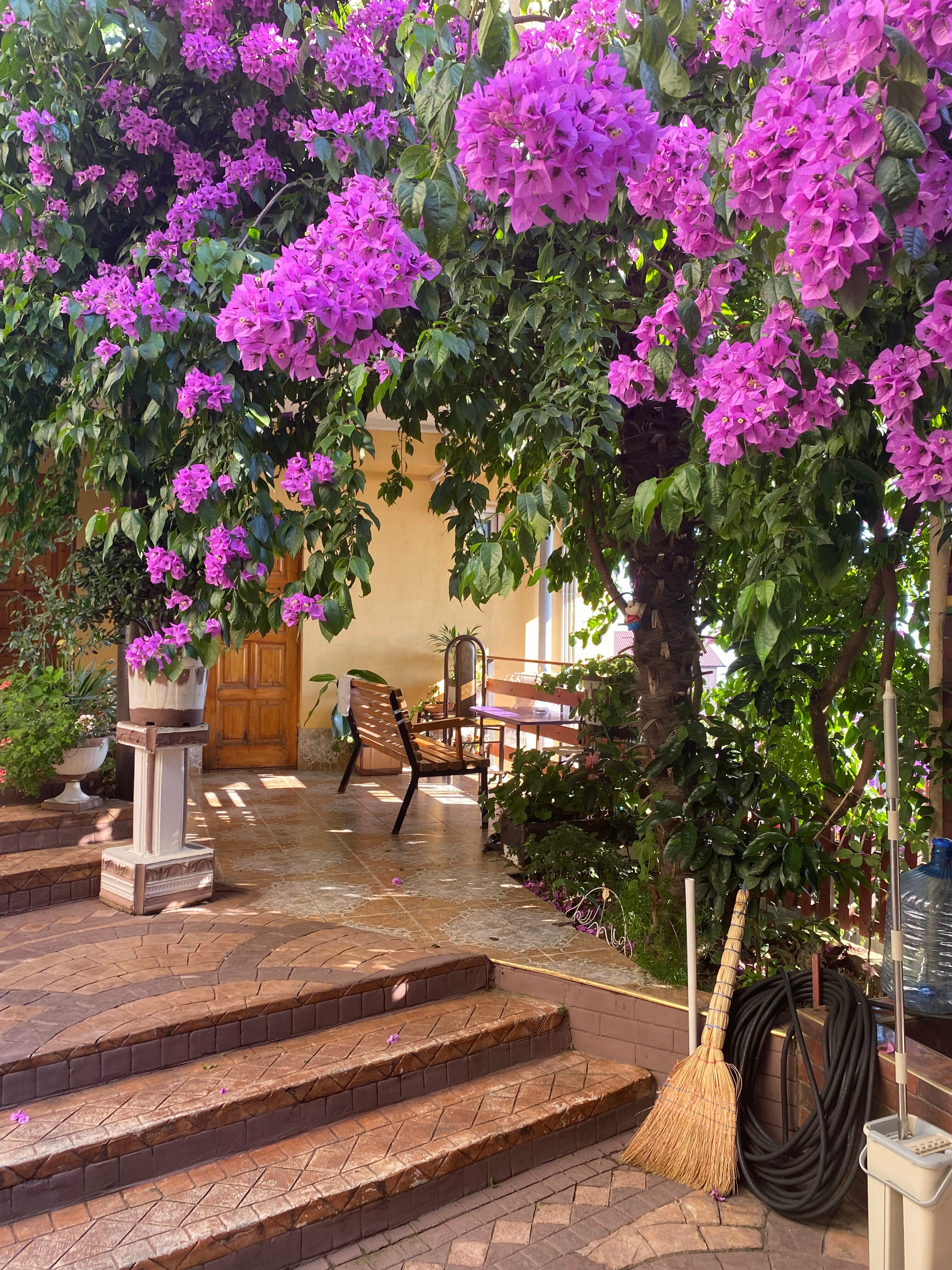 Стандартный четырехместный номер