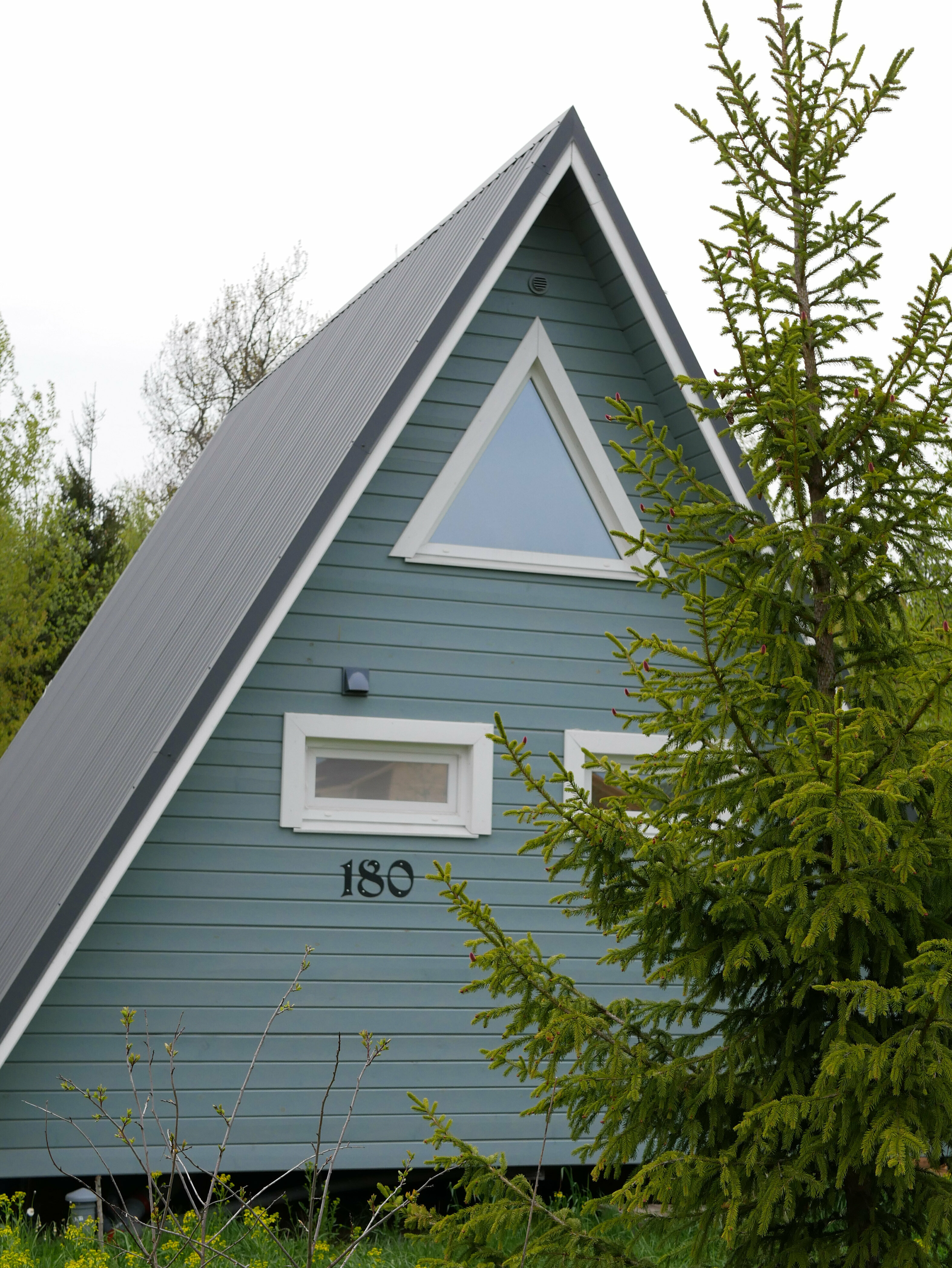 Дом с видом на лес