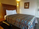 Стандартный одноместный номер, 1 двуспальная кровать «Квин-сайз» в Peach City Inn - Marysville Yuba City