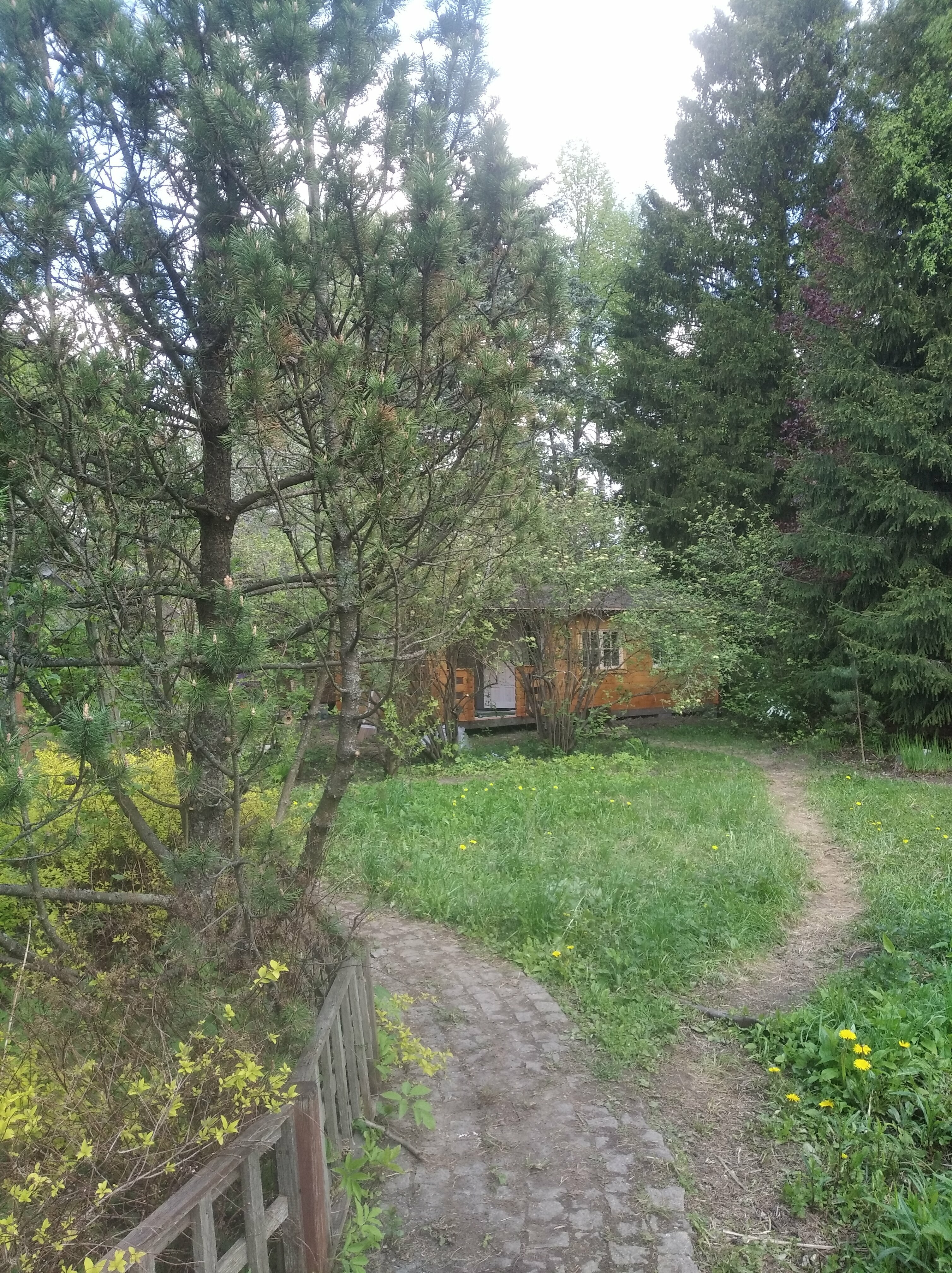 Дом с видом на лес