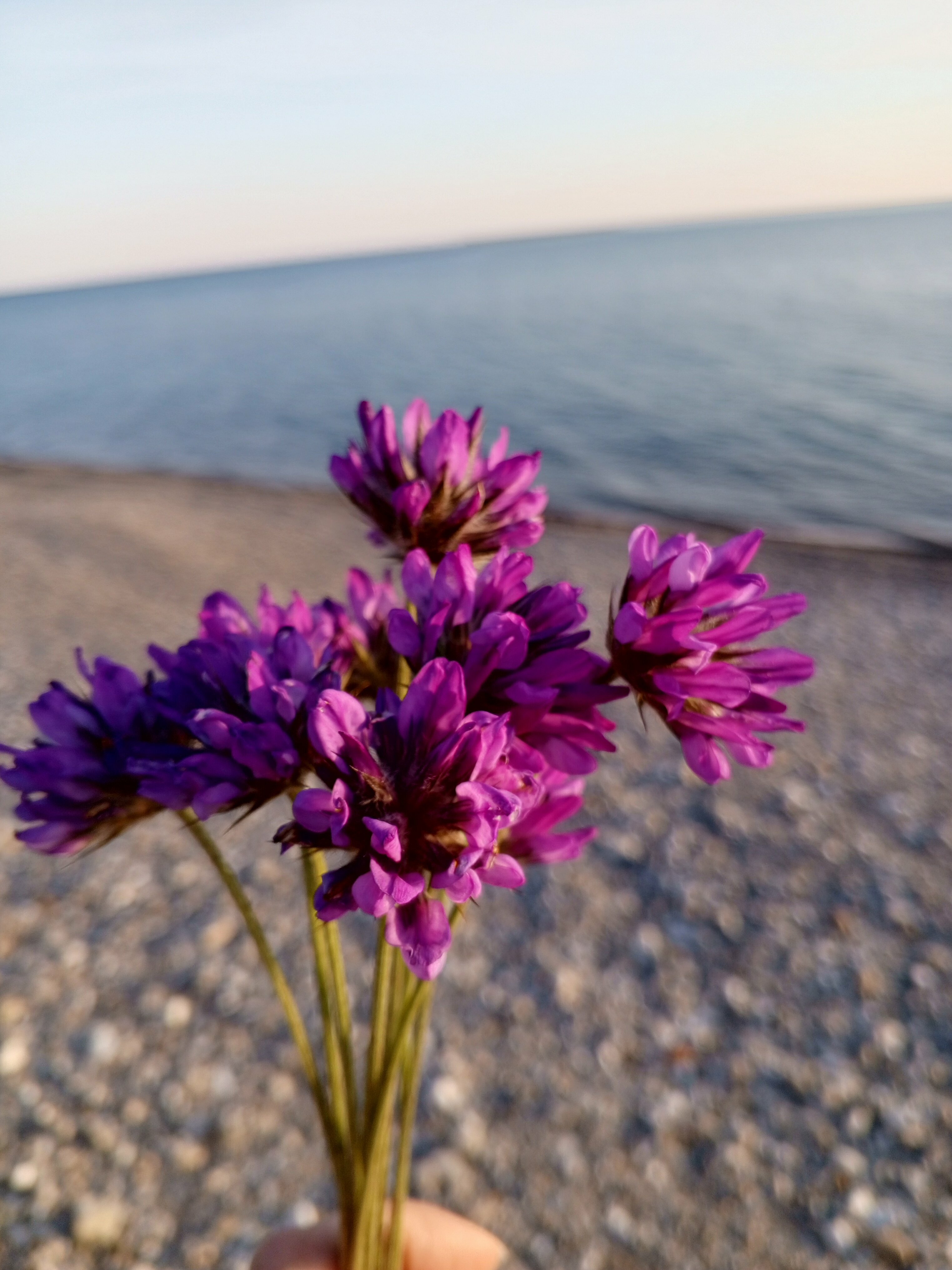 Четырехместный номер с балконом