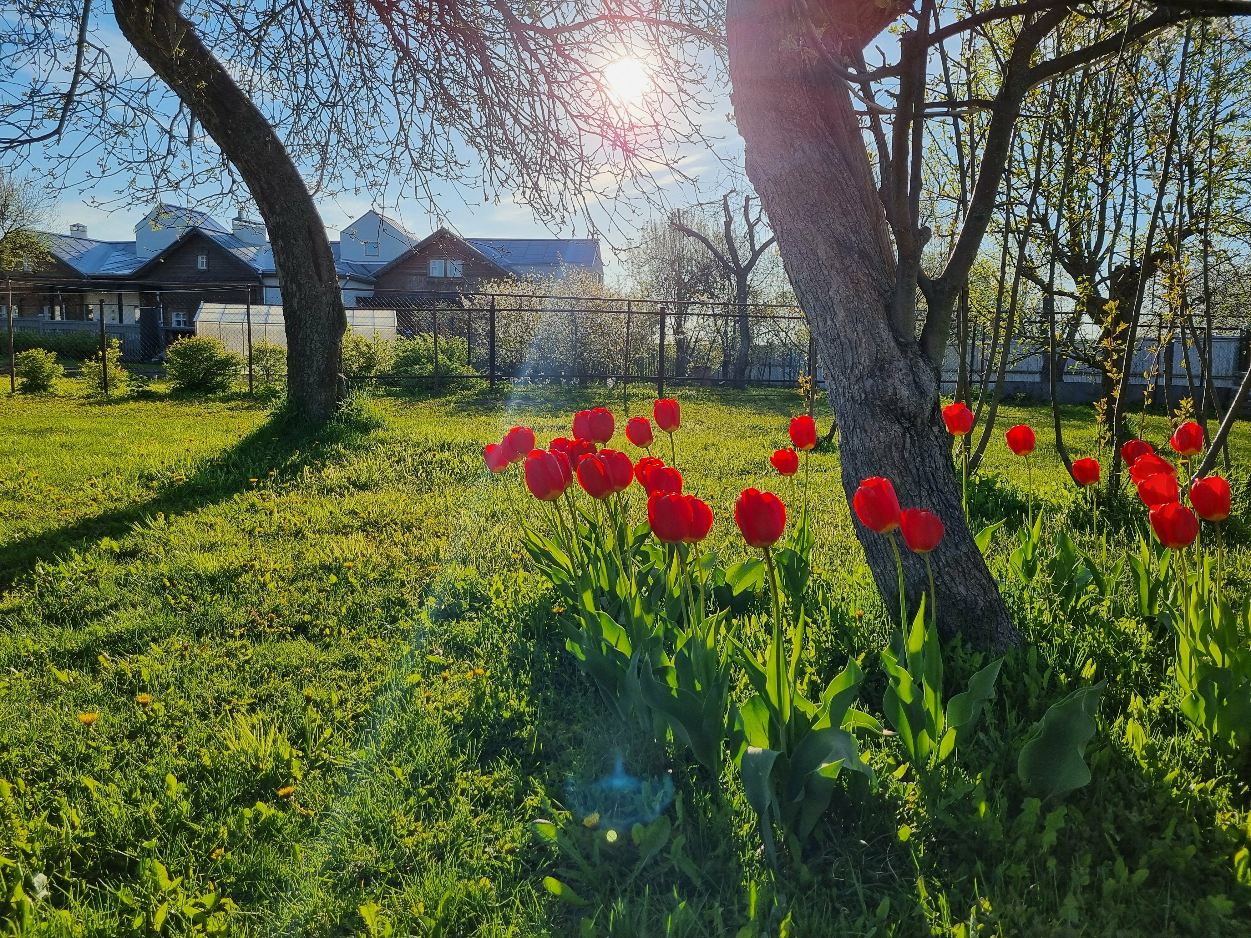 Апартаменты с 2 спальнями