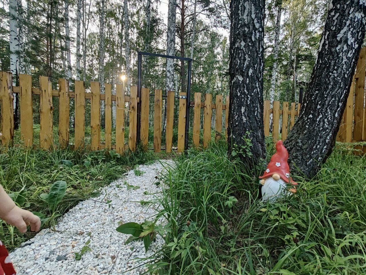 Дом с видом на лес