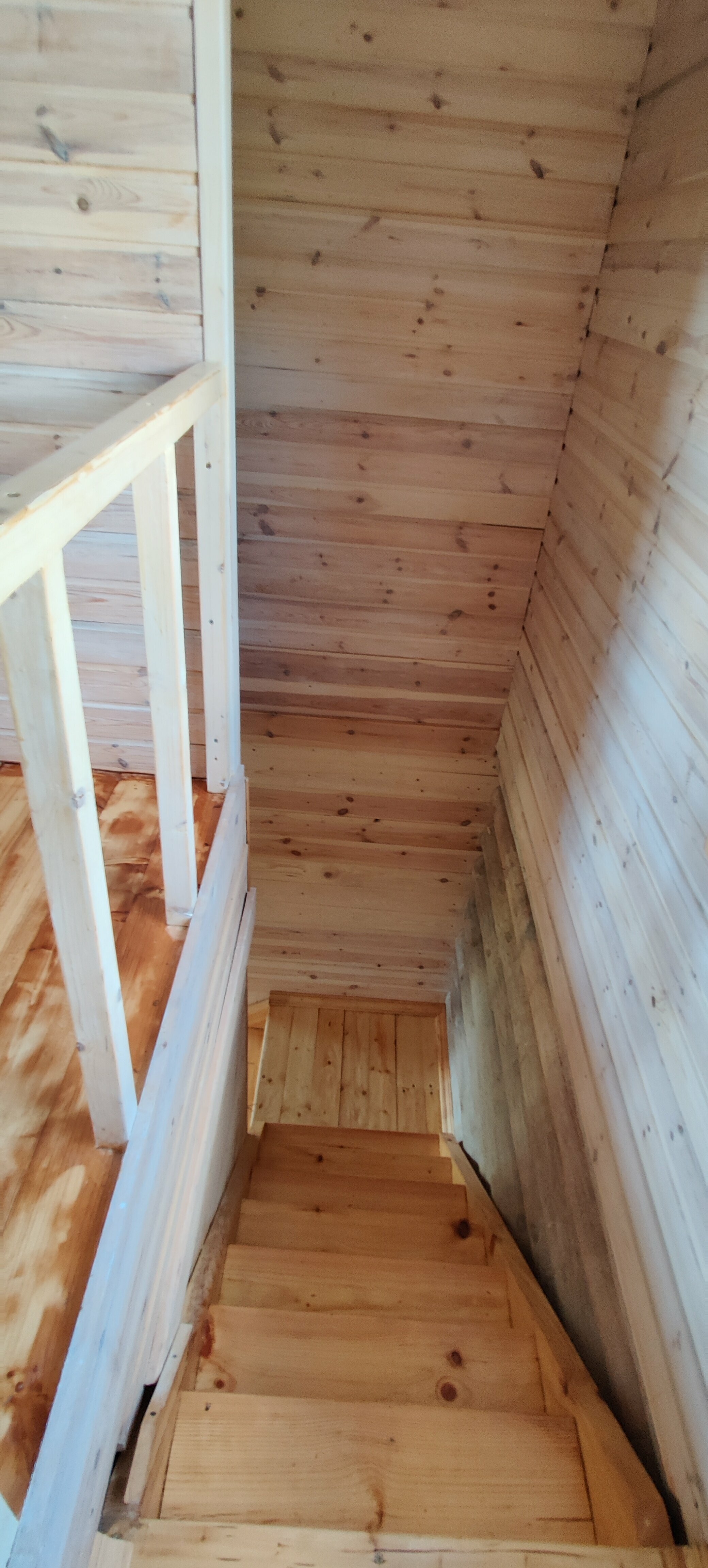 Дом с видом на лес