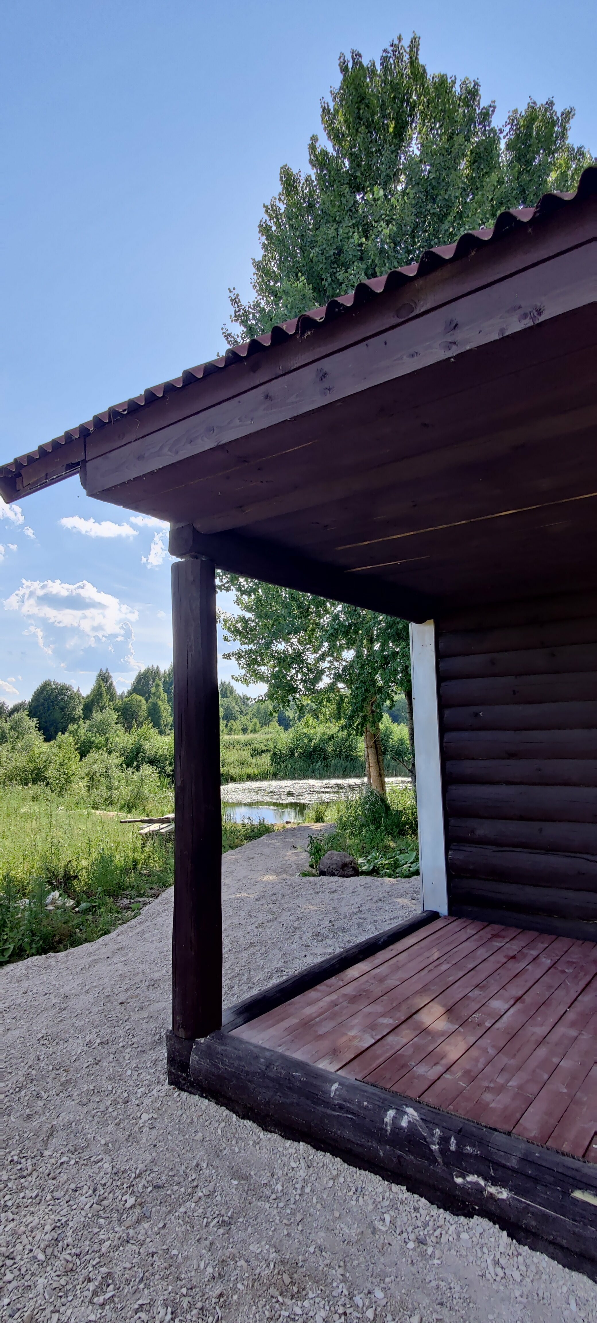 Дом с видом на лес