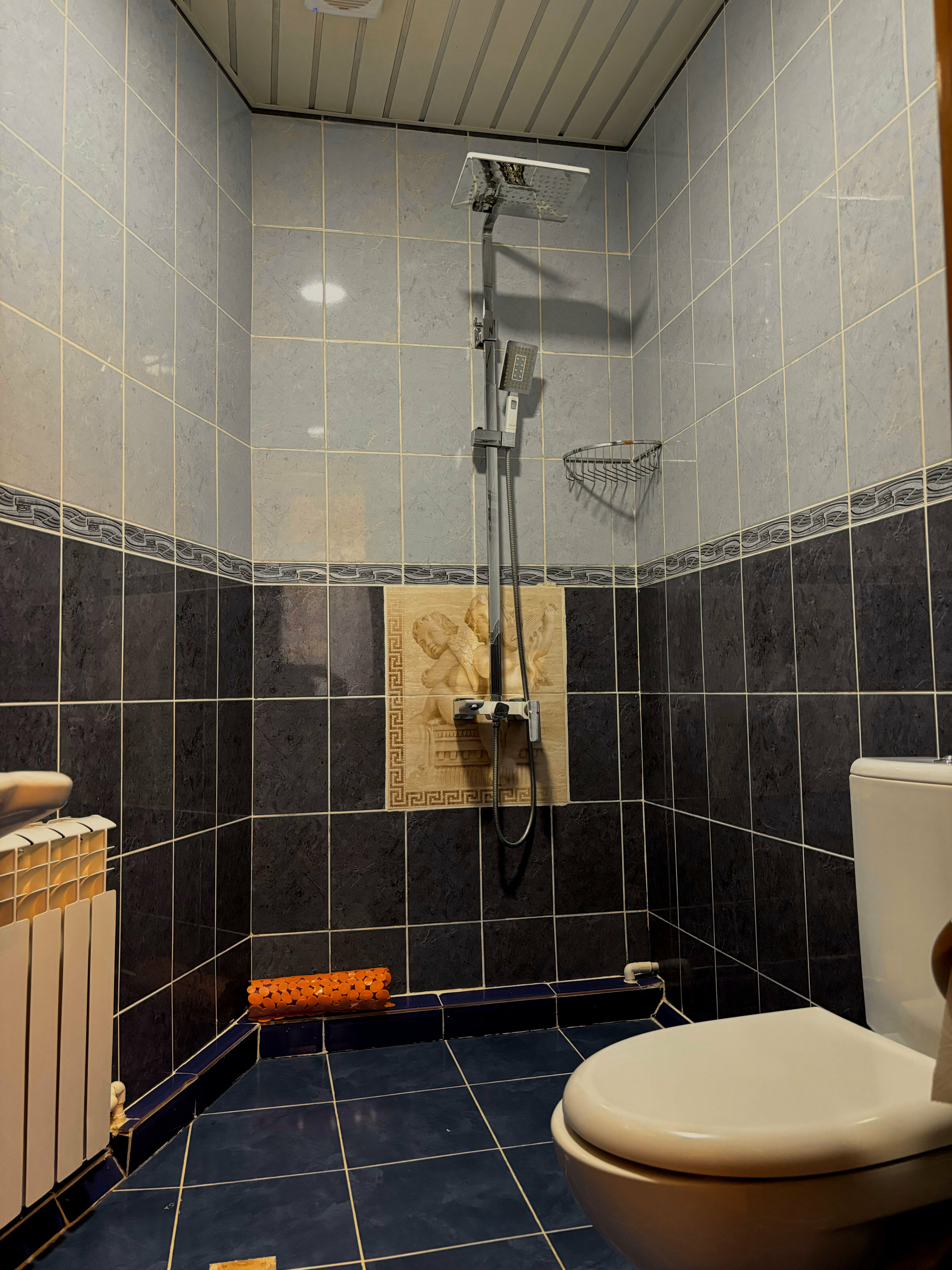 Двухместный номер Делюкс с 1 кроватью