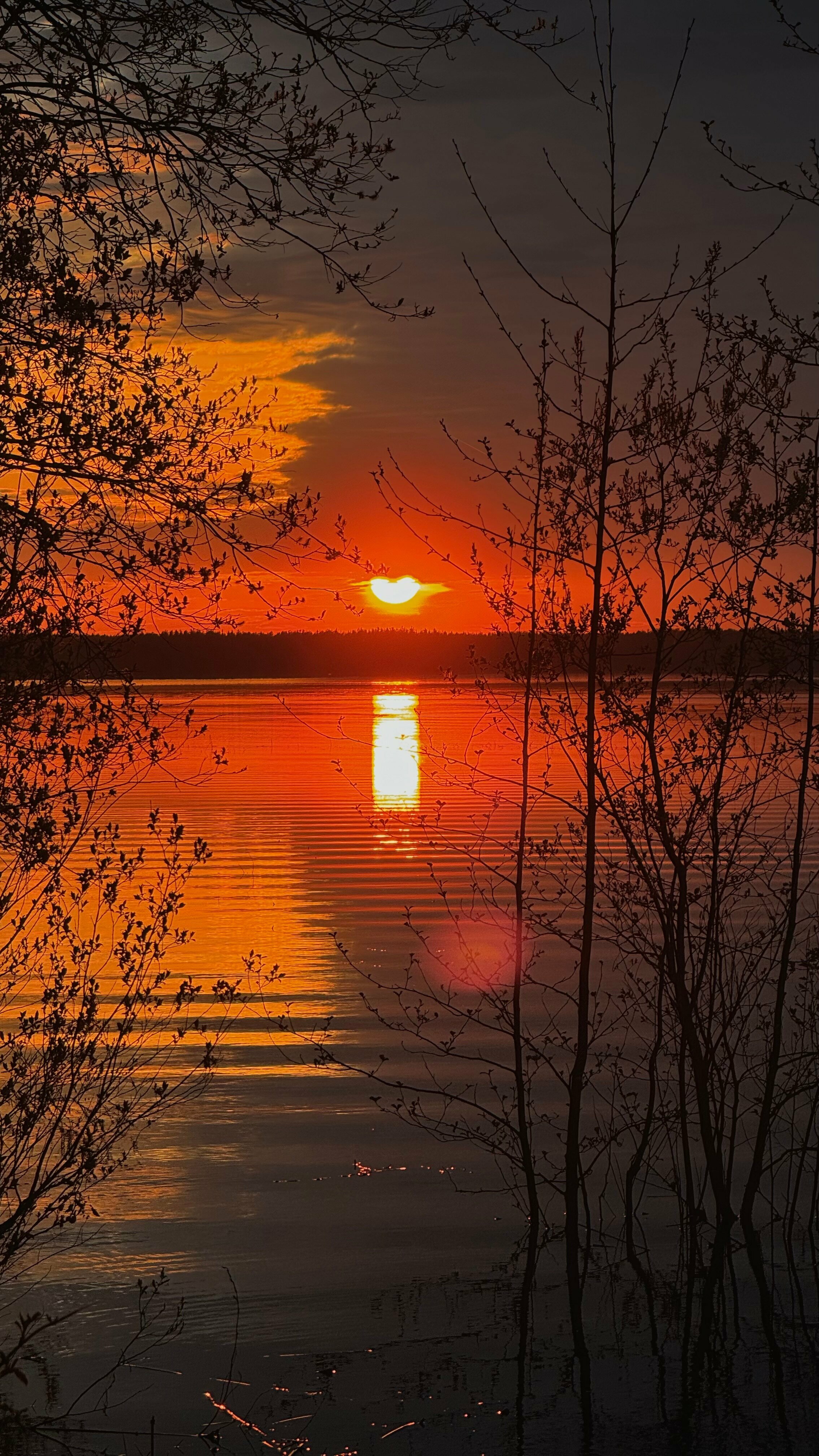 Зеленый домик без купели