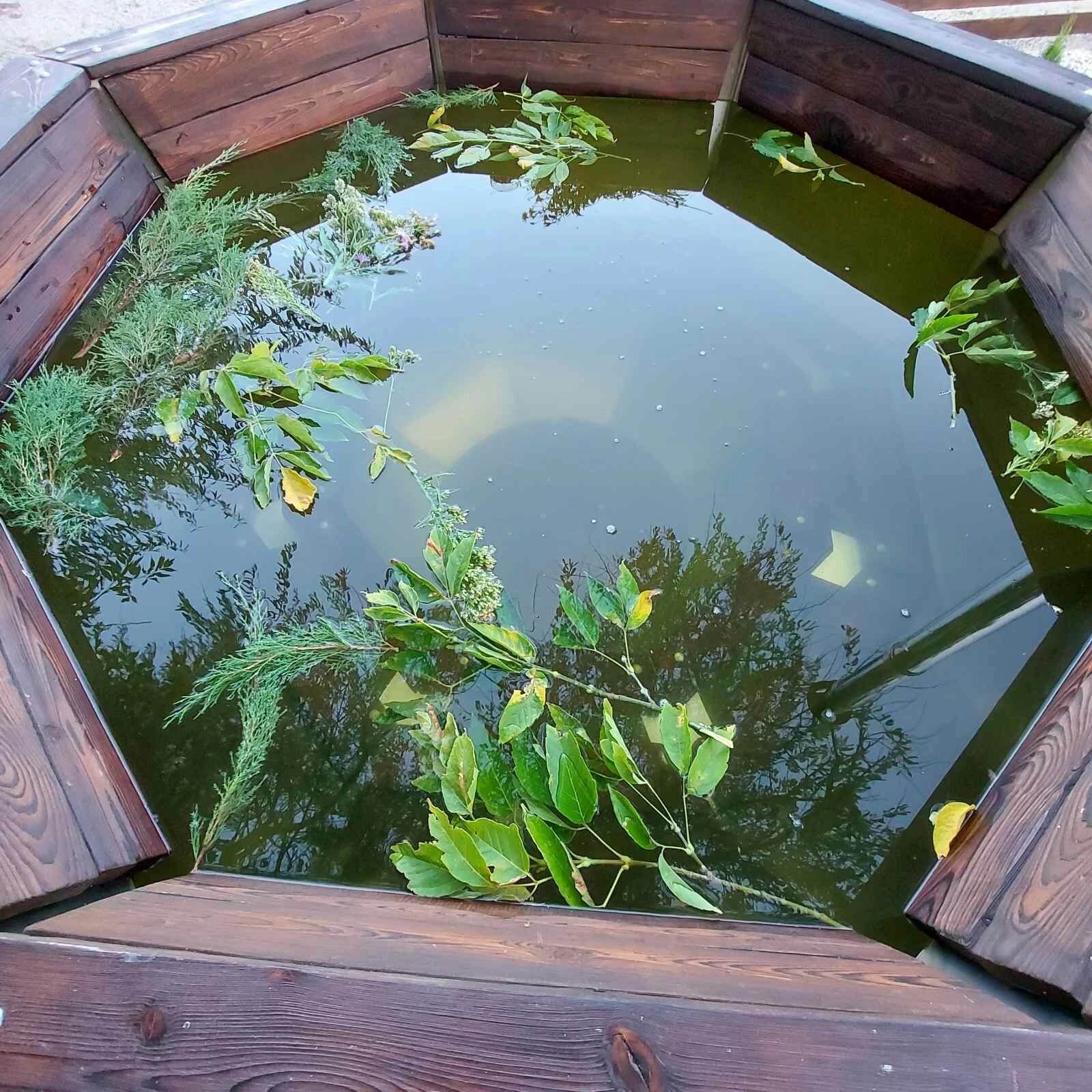 Дом для отпуска