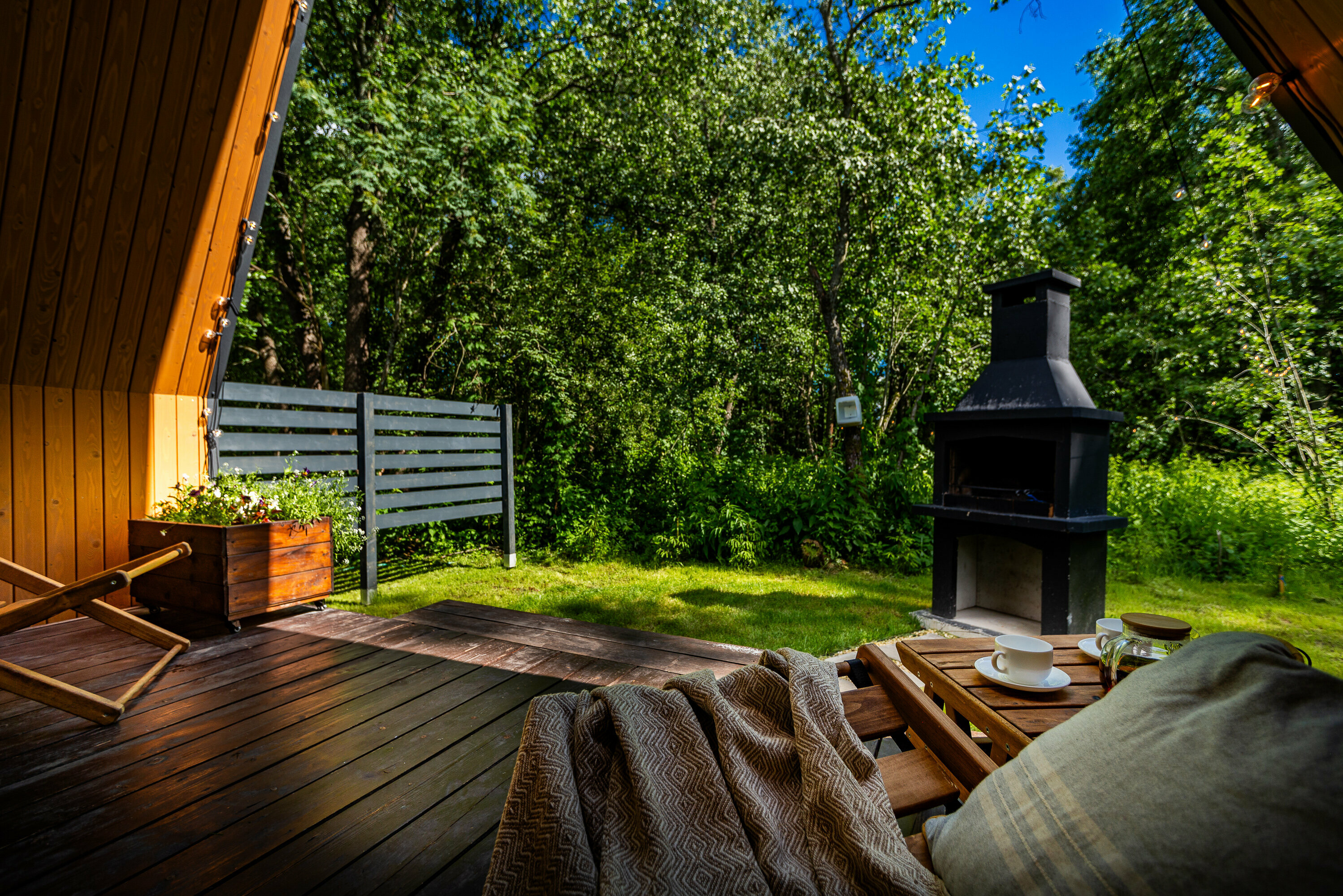 Дом с видом на лес