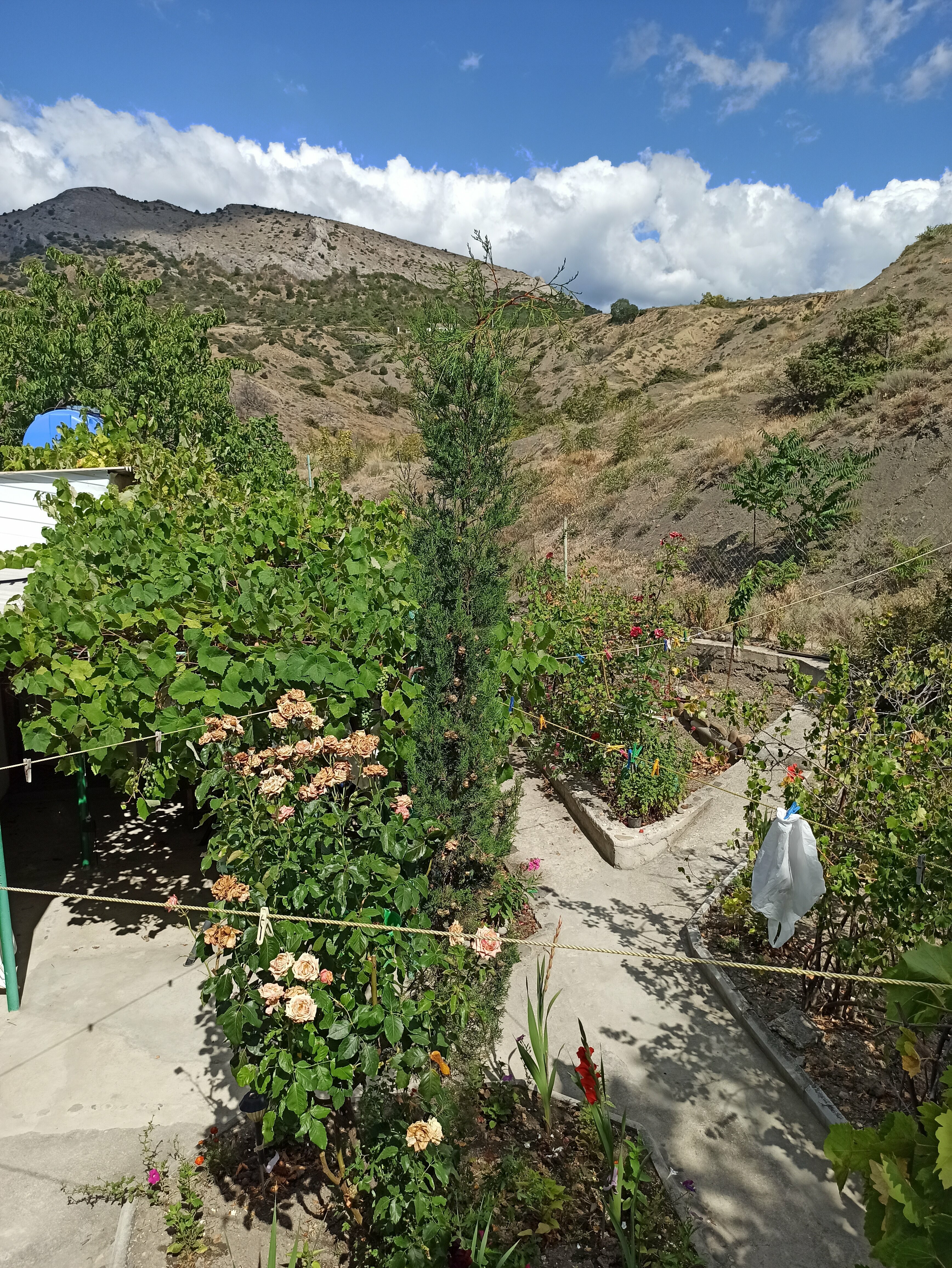 Бюджетный одноместный номер