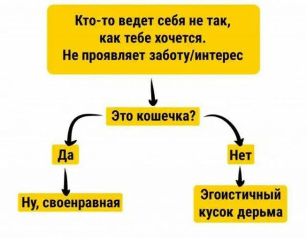 max_g480_c12_r4x3_pd20