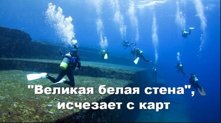 proza-ru.turbopages.org