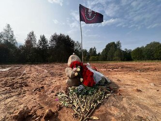 mk-ru.turbopages.org