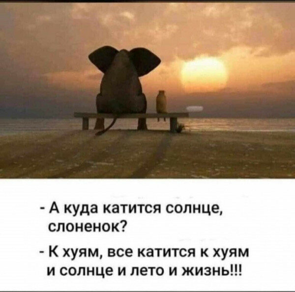 max_g480_c12_r4x3_pd20